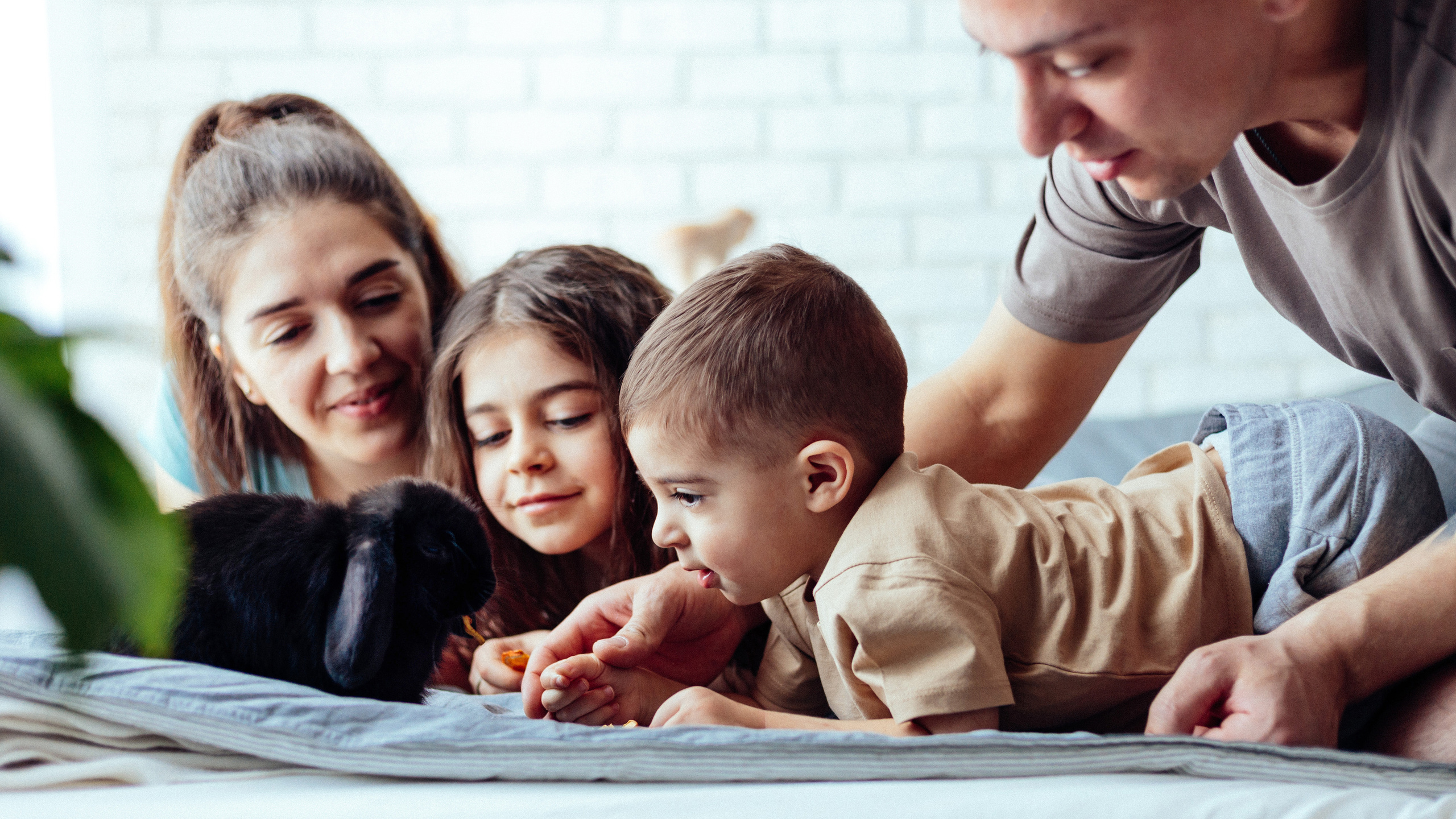 Портфолио. Портреты