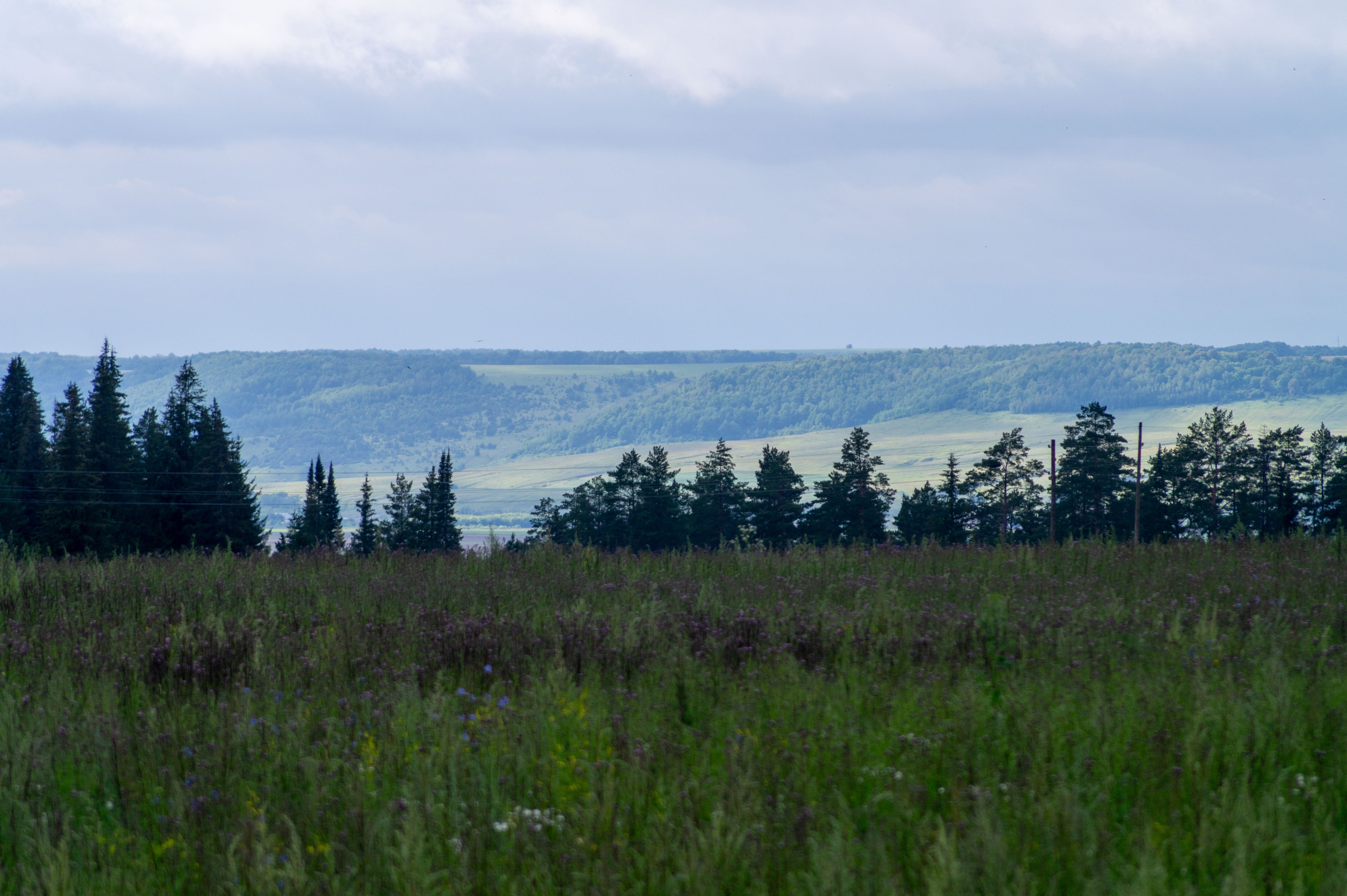 Г. Вятские Поляны лето 2025. Портретный и семейный фотограф Санкт-Петербург