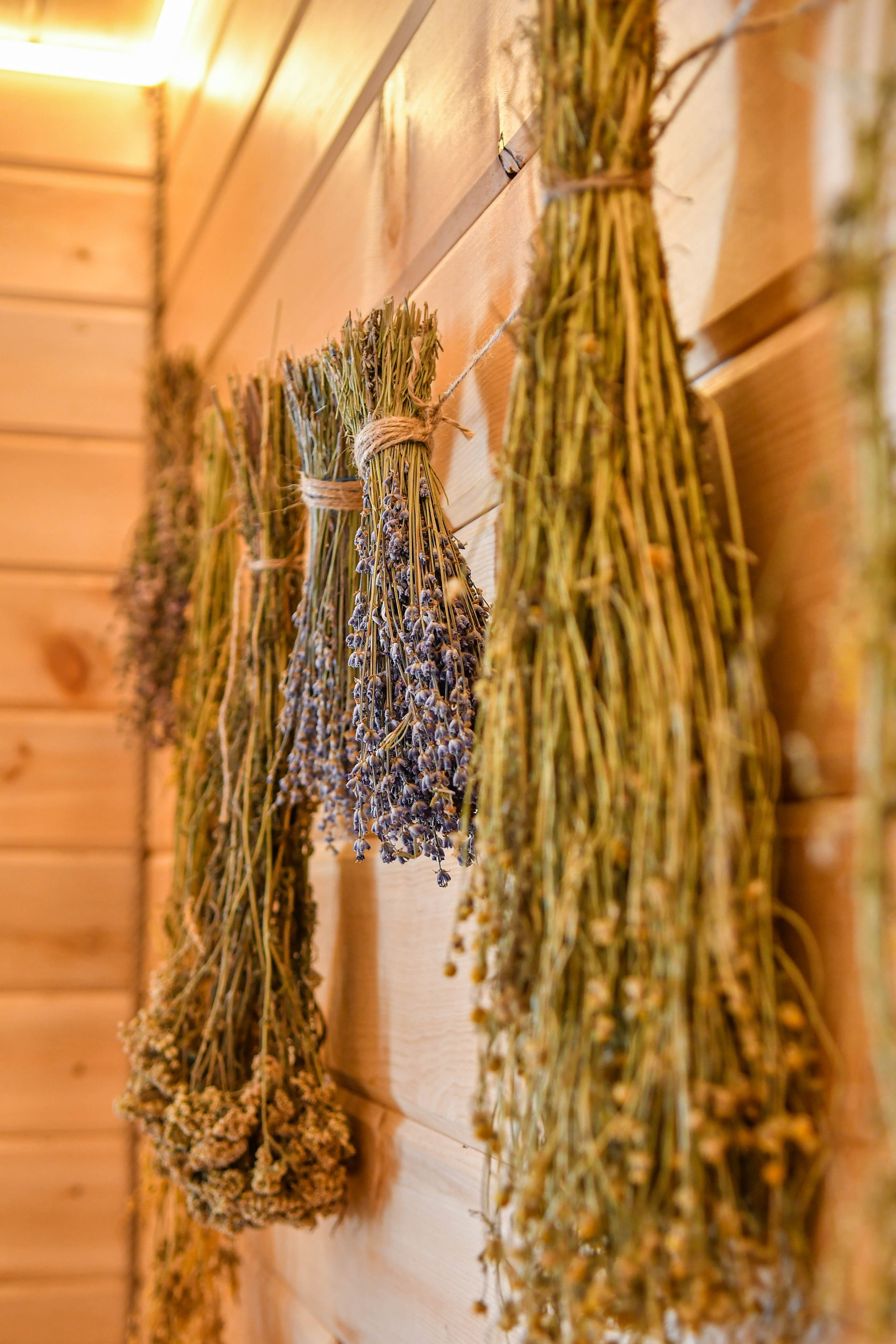 БАЗА ОТДЫХА. Фотограф недвижимости в Красноярске Анна Шафарина