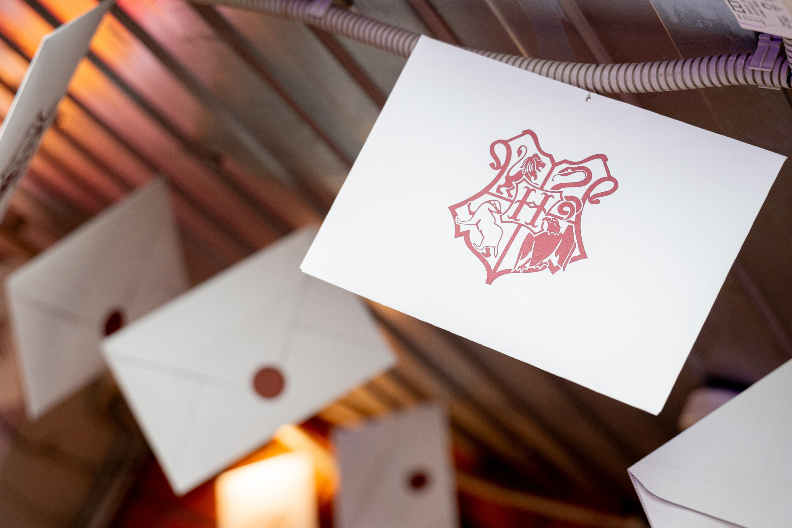 ДР МАШИ. Фотограф на любое мероприятие