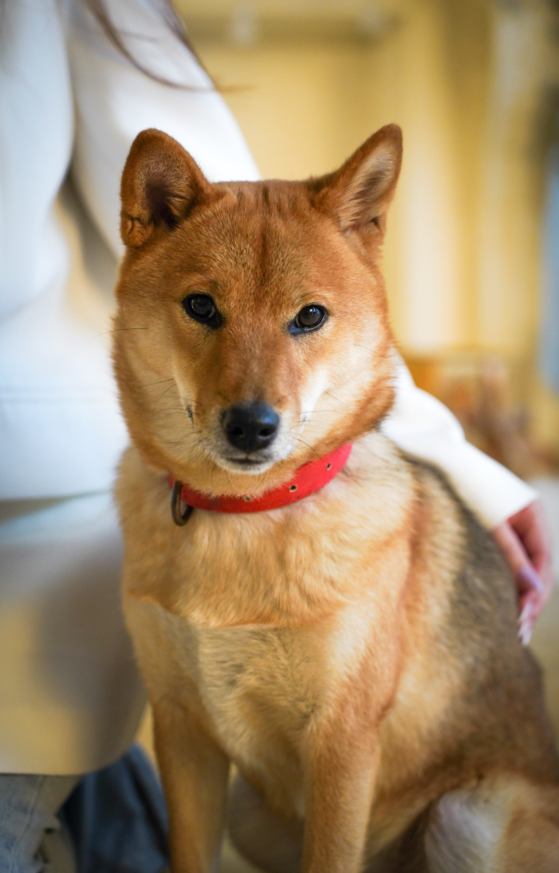 Портфолио. Leibstudio.ru