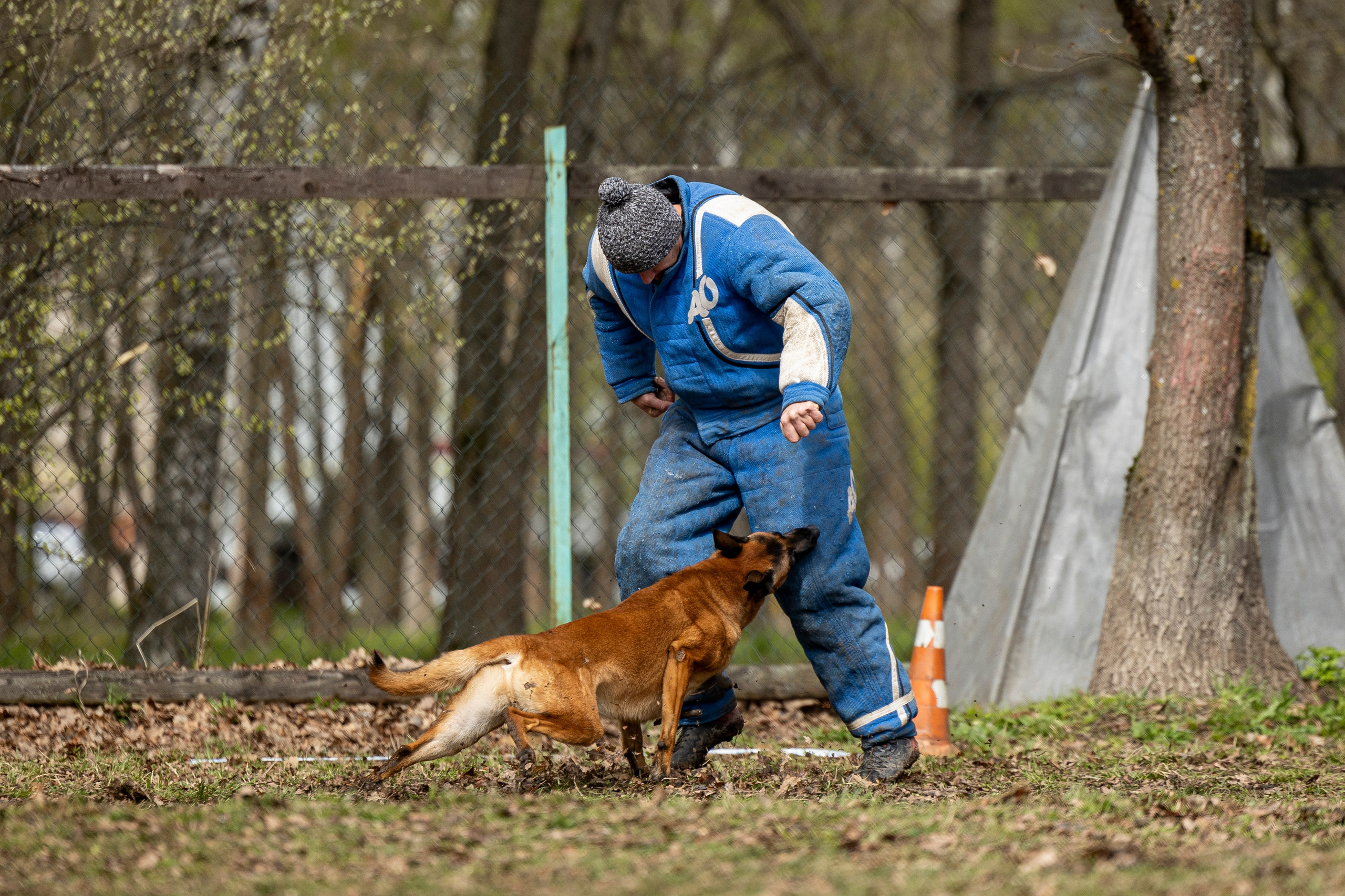 Квалификационные состязания по мондьорингу г. Вологда 11.05.24. Фотограф-анималист Анна Маринич