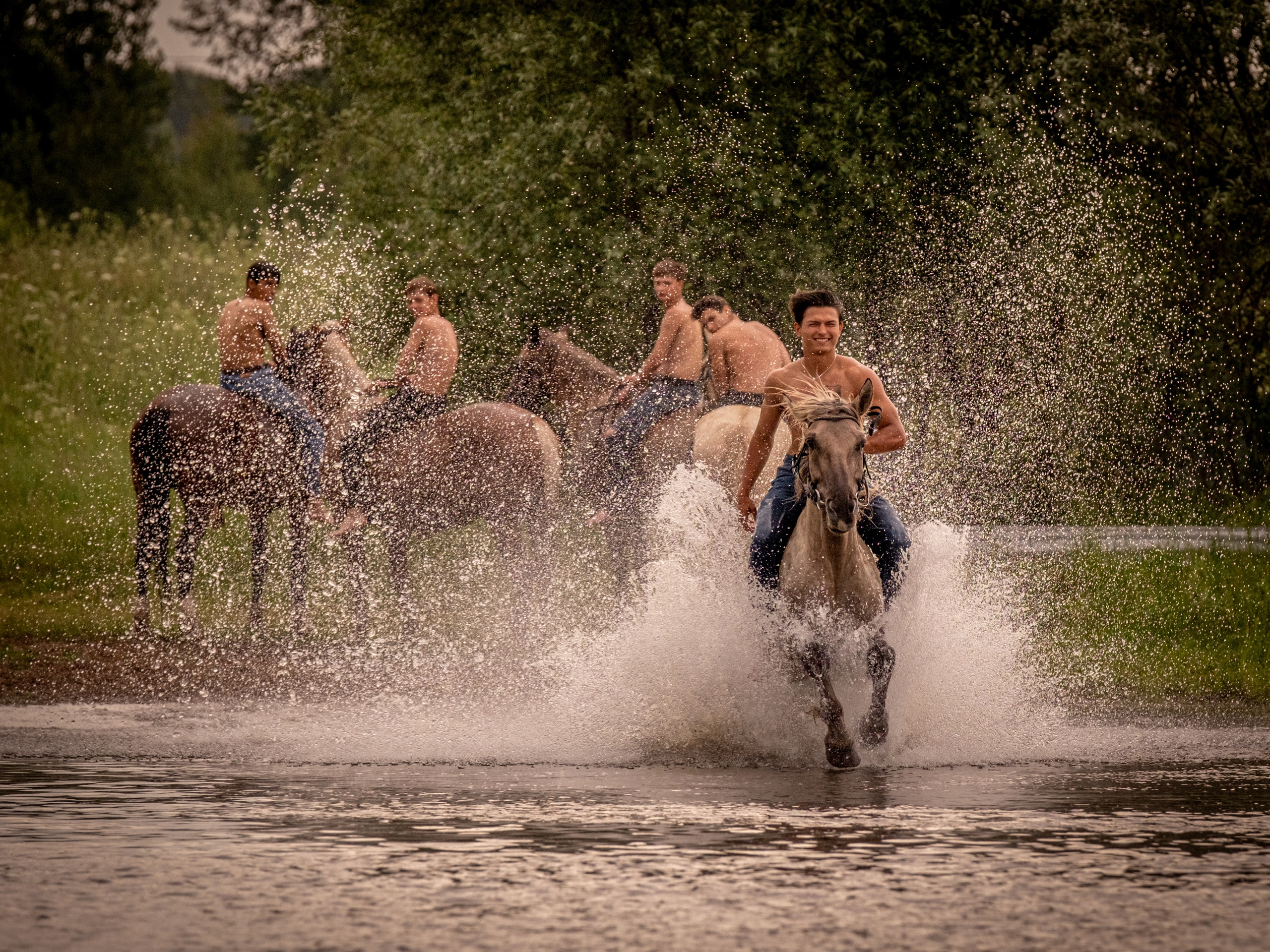 Люди и лошади!. Зоофотограф, фотограф животных в Москве и области Дина Дамоцева