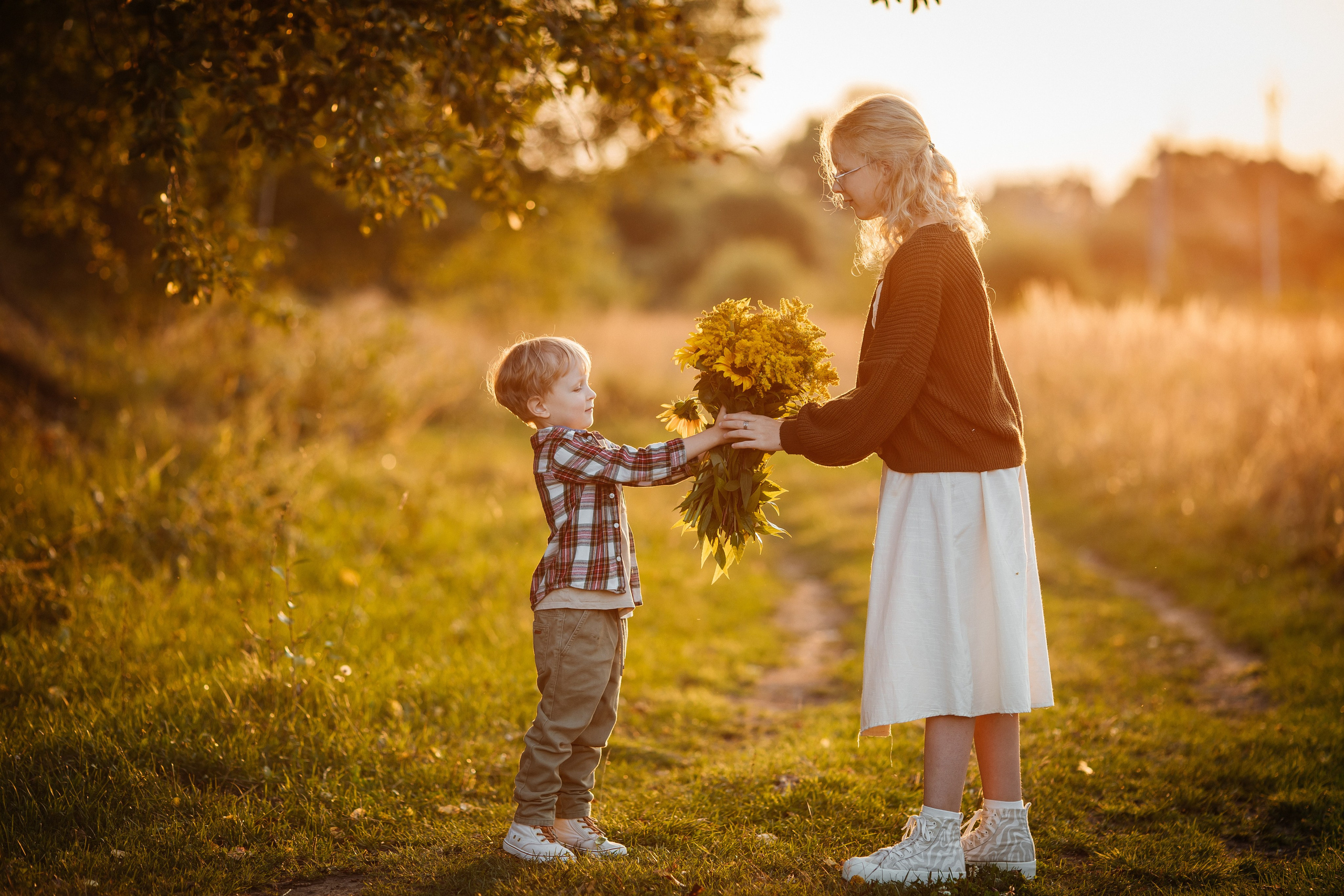 Августовский вечер. Olga.filippova.photo