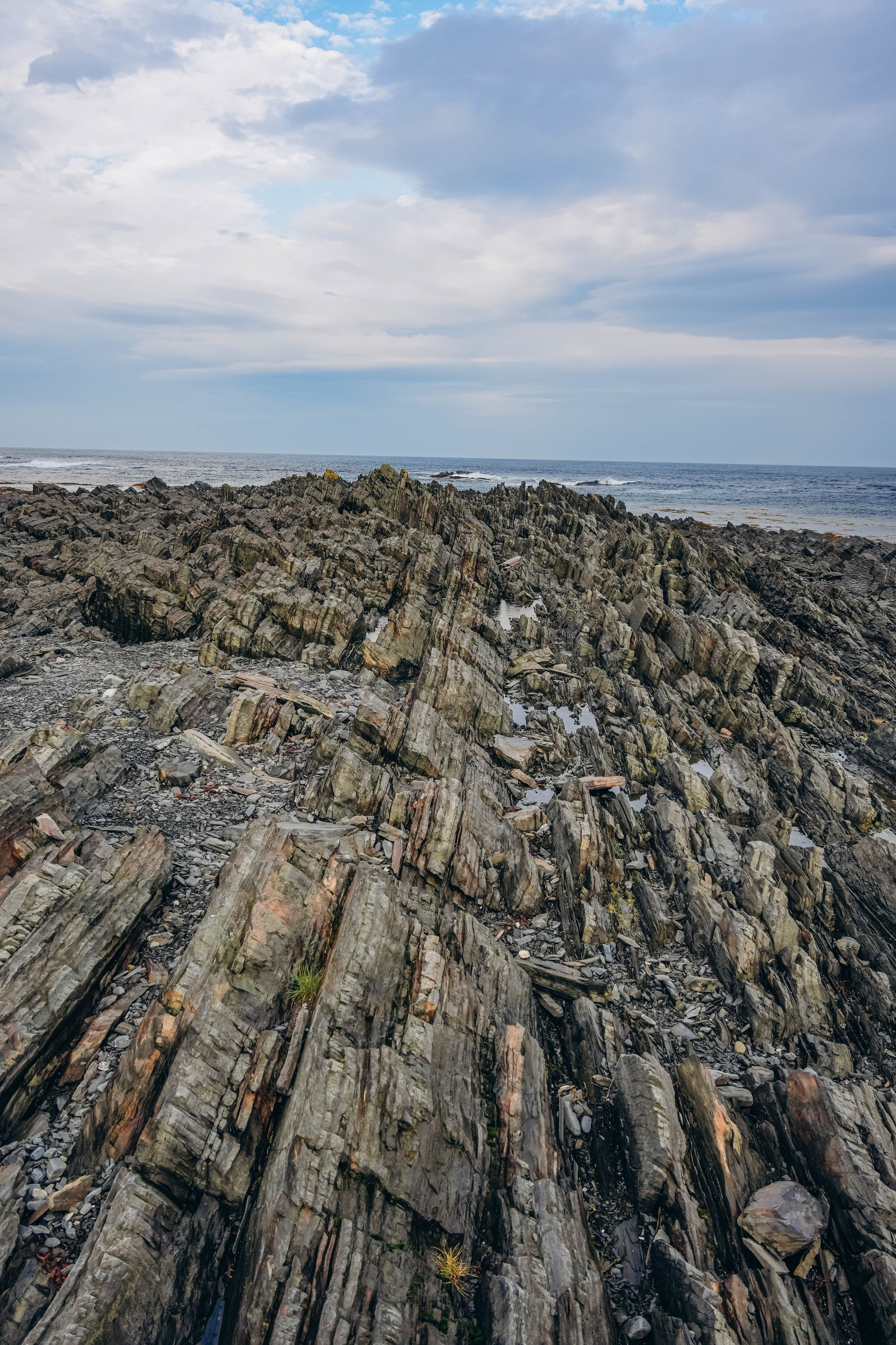 СЕВЕР. Event фотограф Степанова Александра