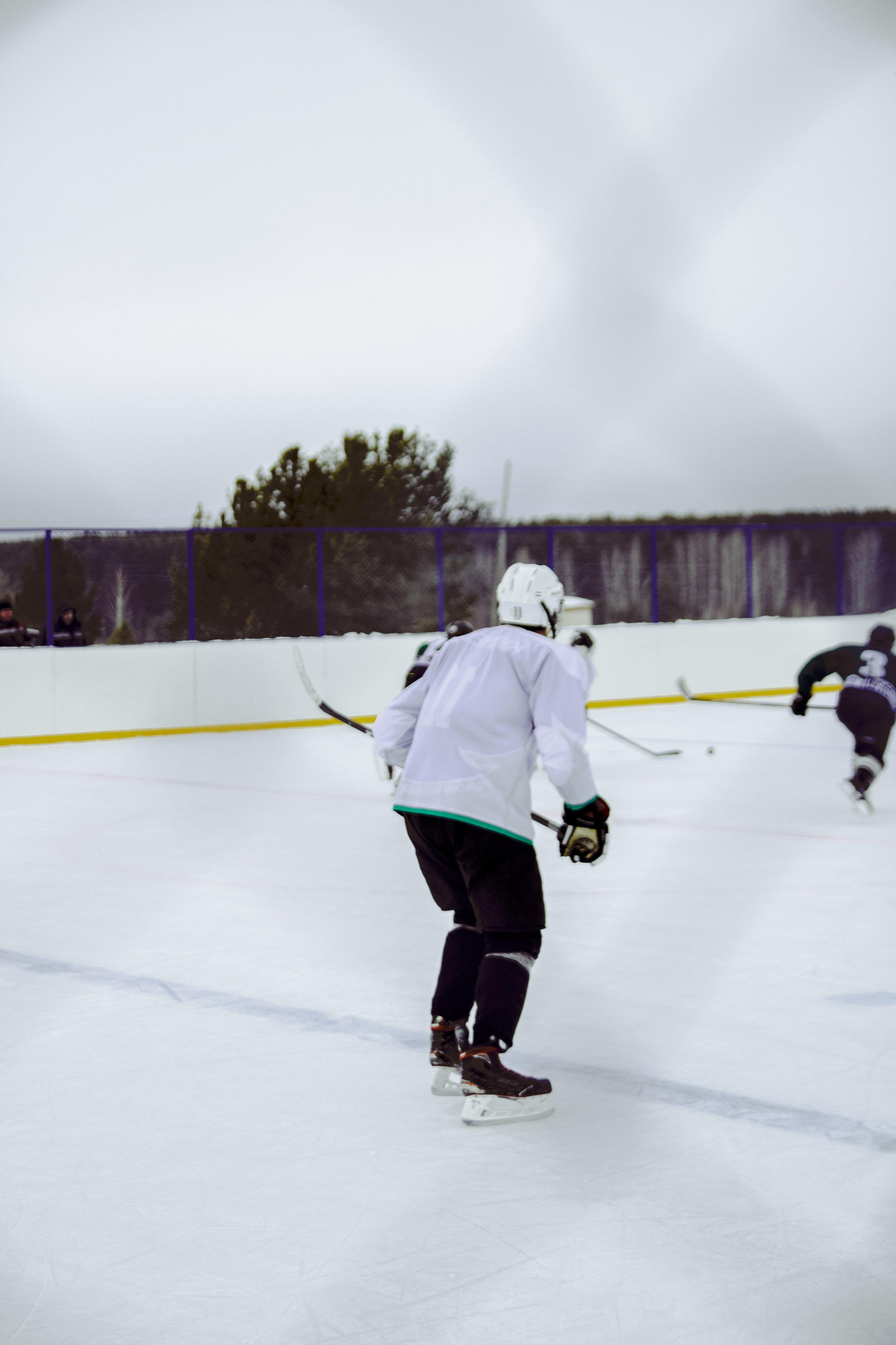 Хоккей 29.12.2024