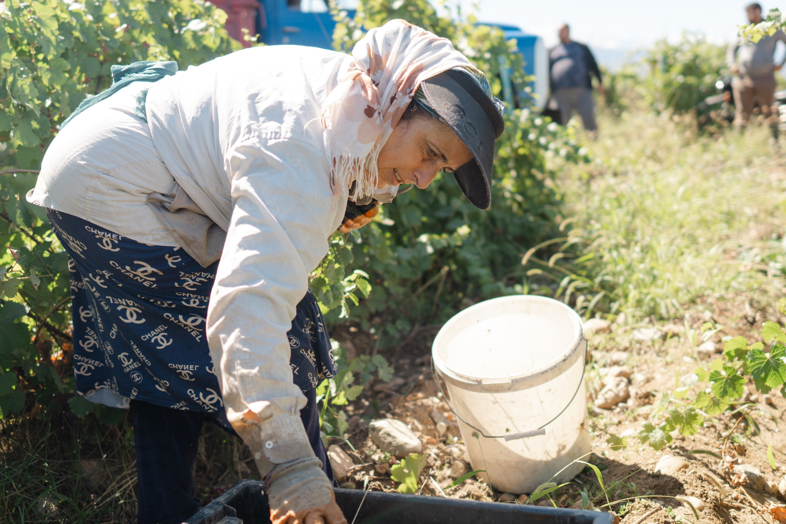 ArbaWine. Адиль Абильтаев|Фотограф|Астана