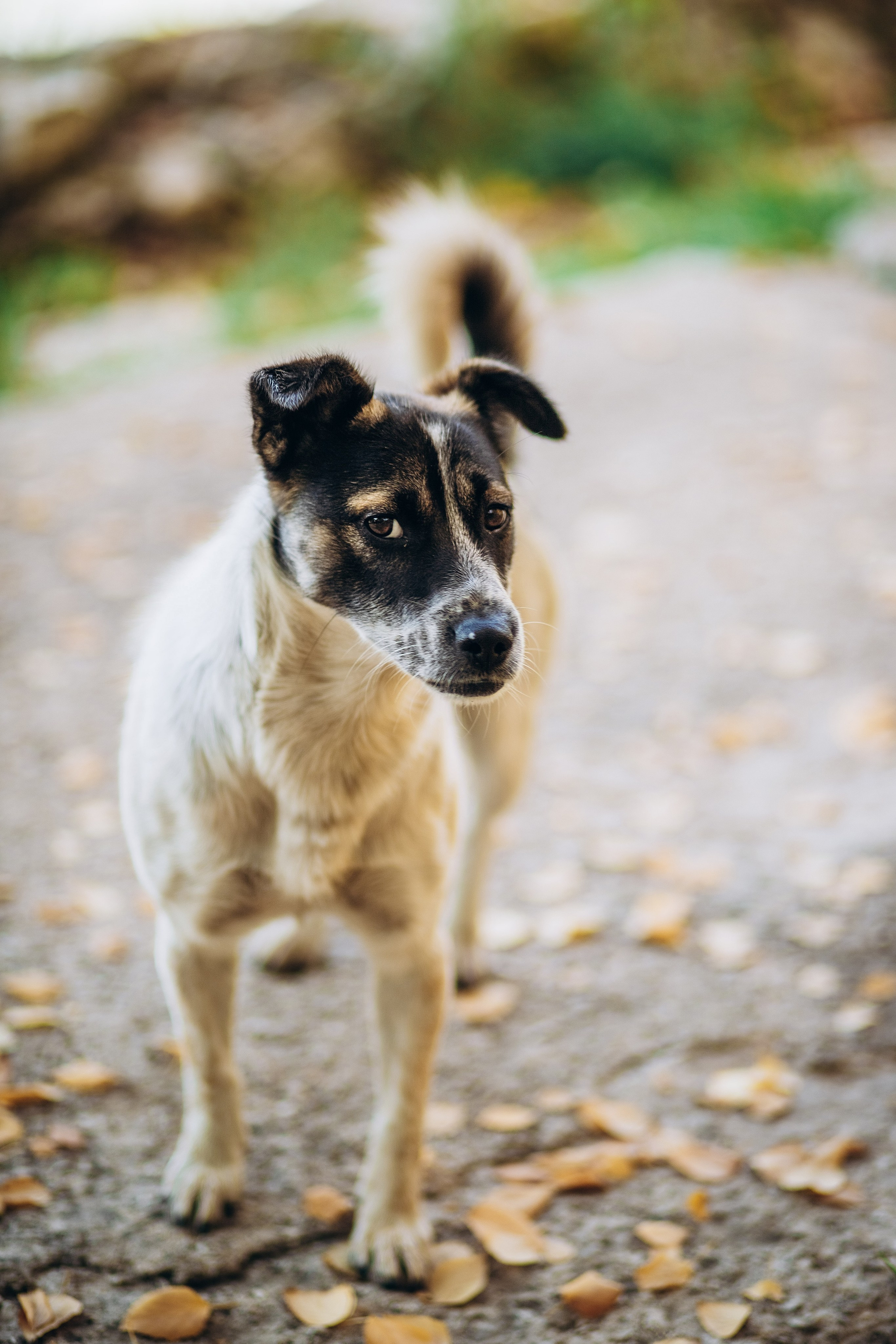 Одним осенним теплым денёчком. Семейный и школьный фотограф в Самаре Екатерина Удиванкина