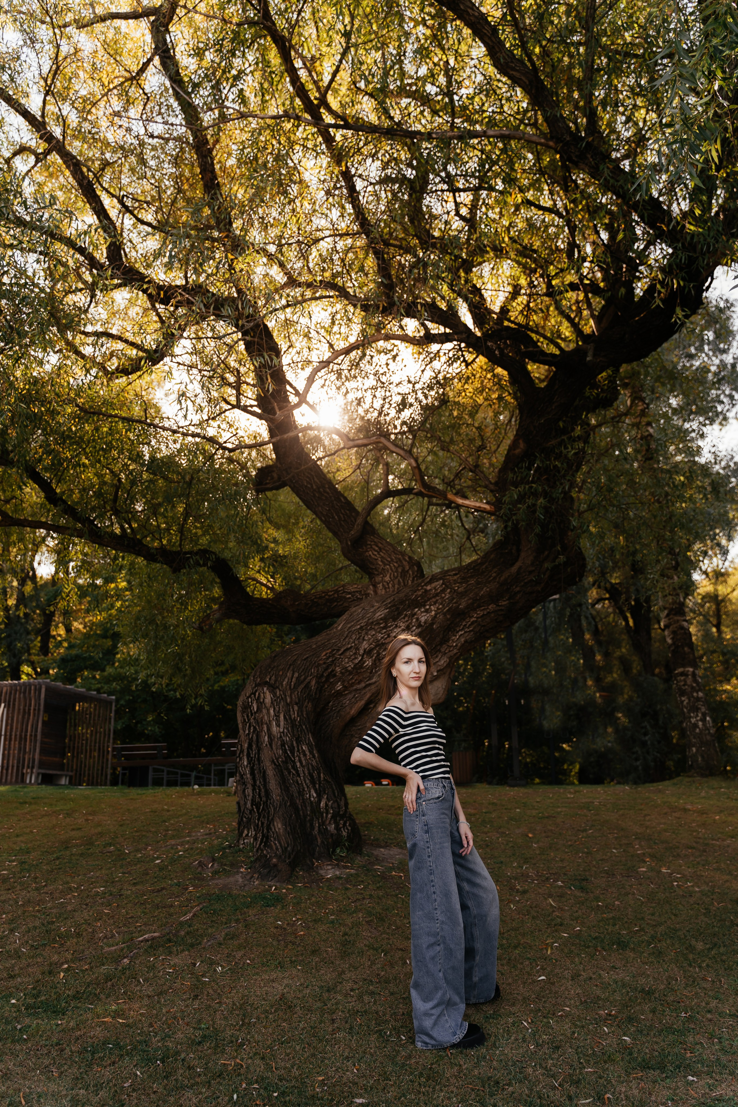 Вероника осень. Фотограф Ларионова Надежда|Ставрополь
