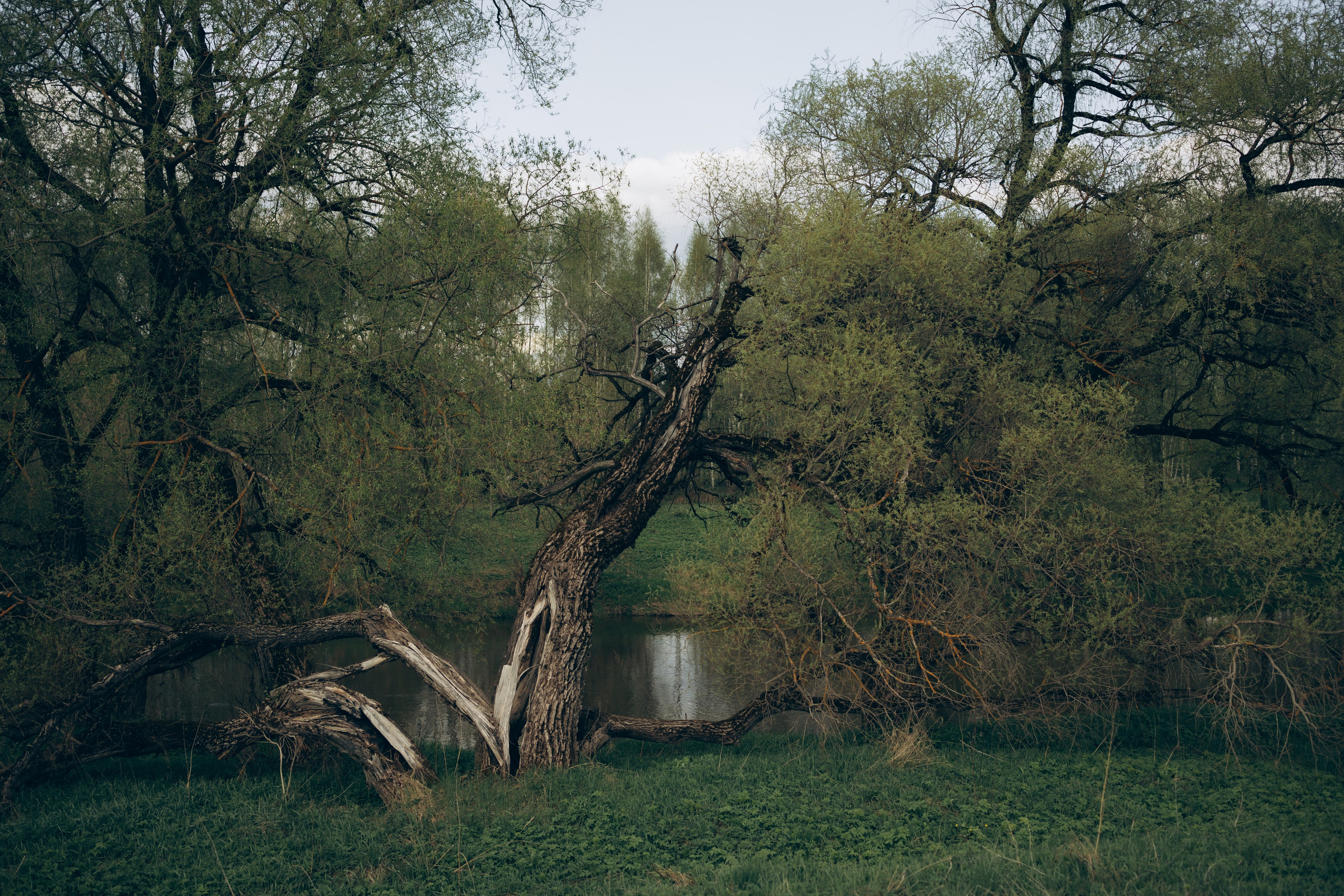 Istra. Женский фотограф Истра