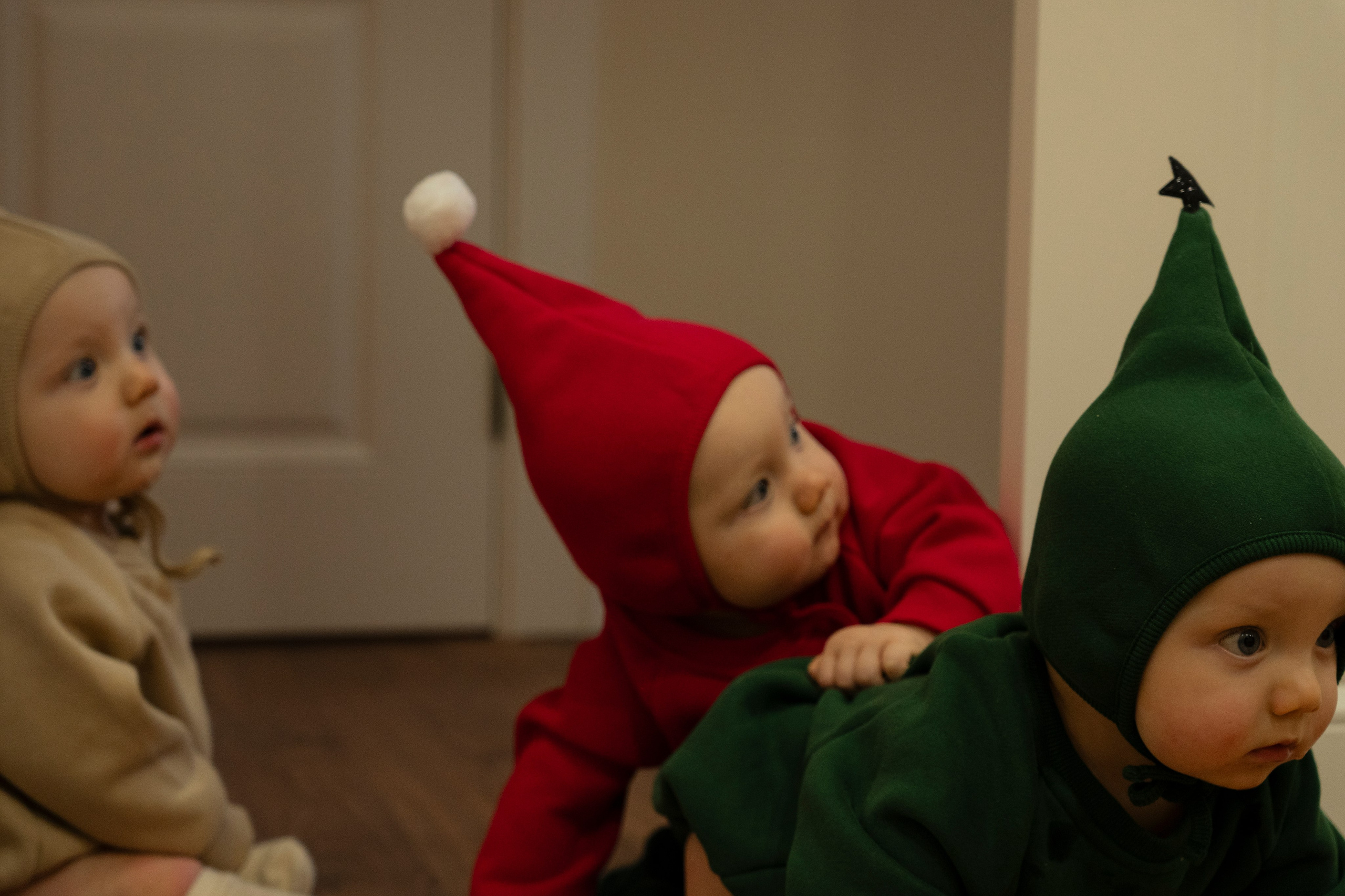 Новогодние тройняшки. Главная