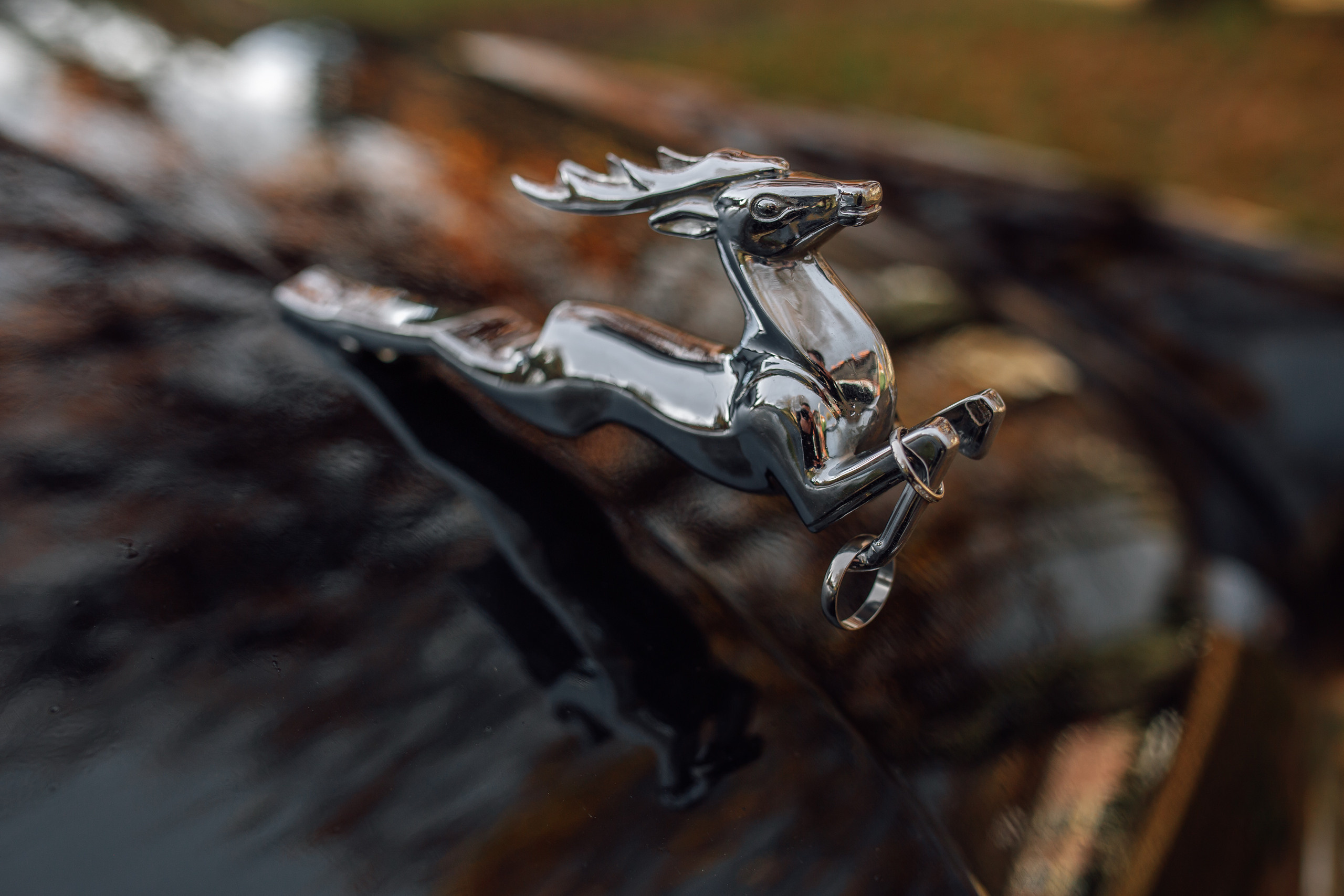 Коля и Лиза. Фотограф в Калининграде Дмитрий Мишин