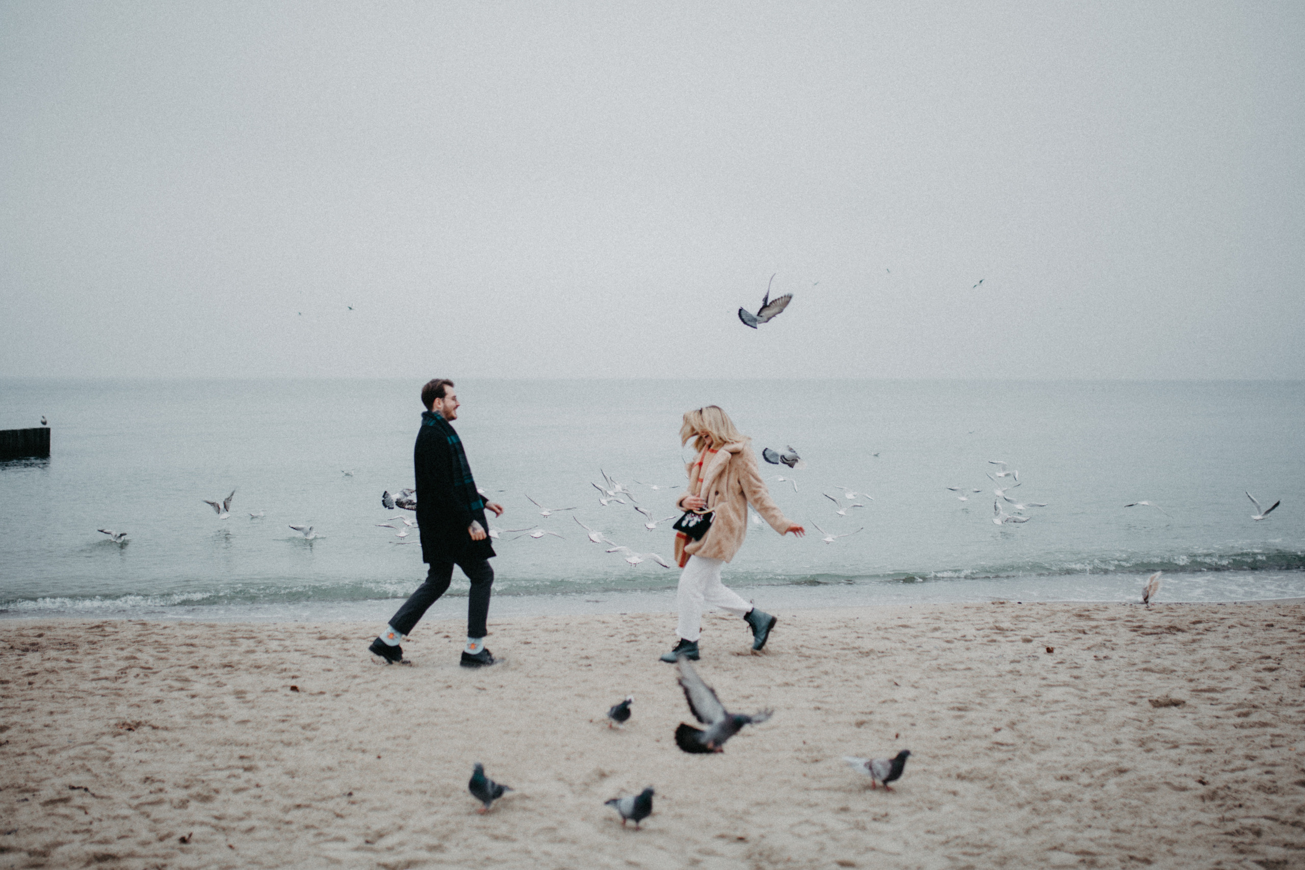 Чайки. Фотограф в Калининграде Дмитрий Мишин