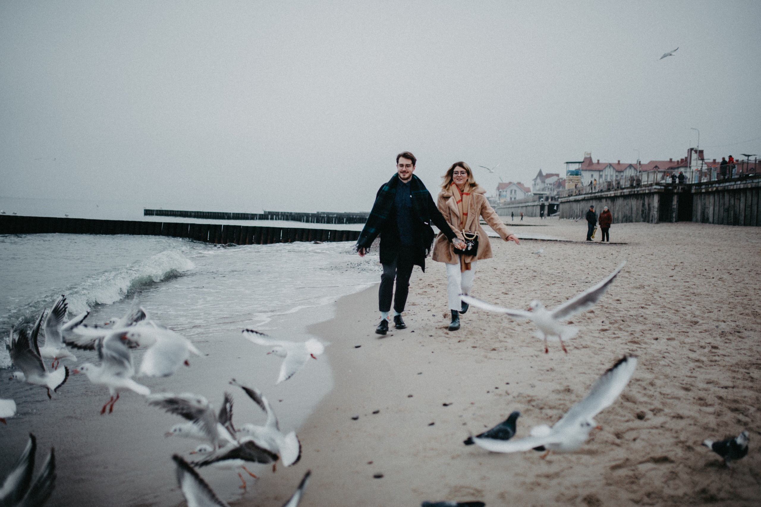 Чайки. Фотограф в Калининграде Дмитрий Мишин