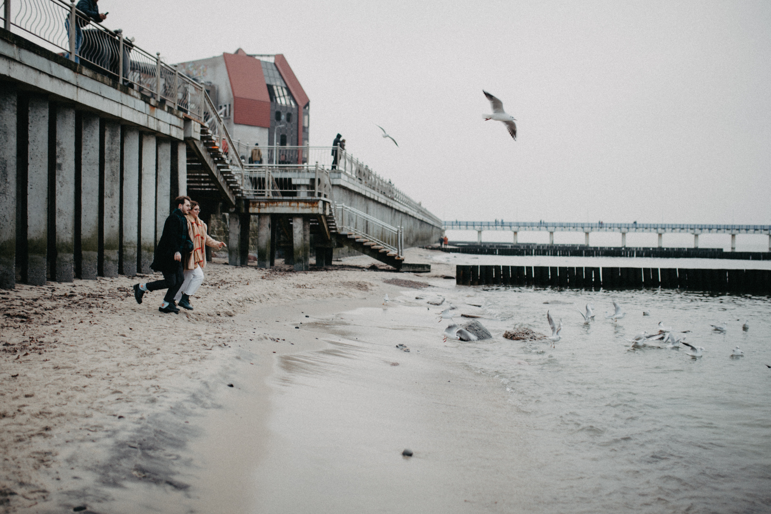 Чайки. Фотограф в Калининграде Дмитрий Мишин