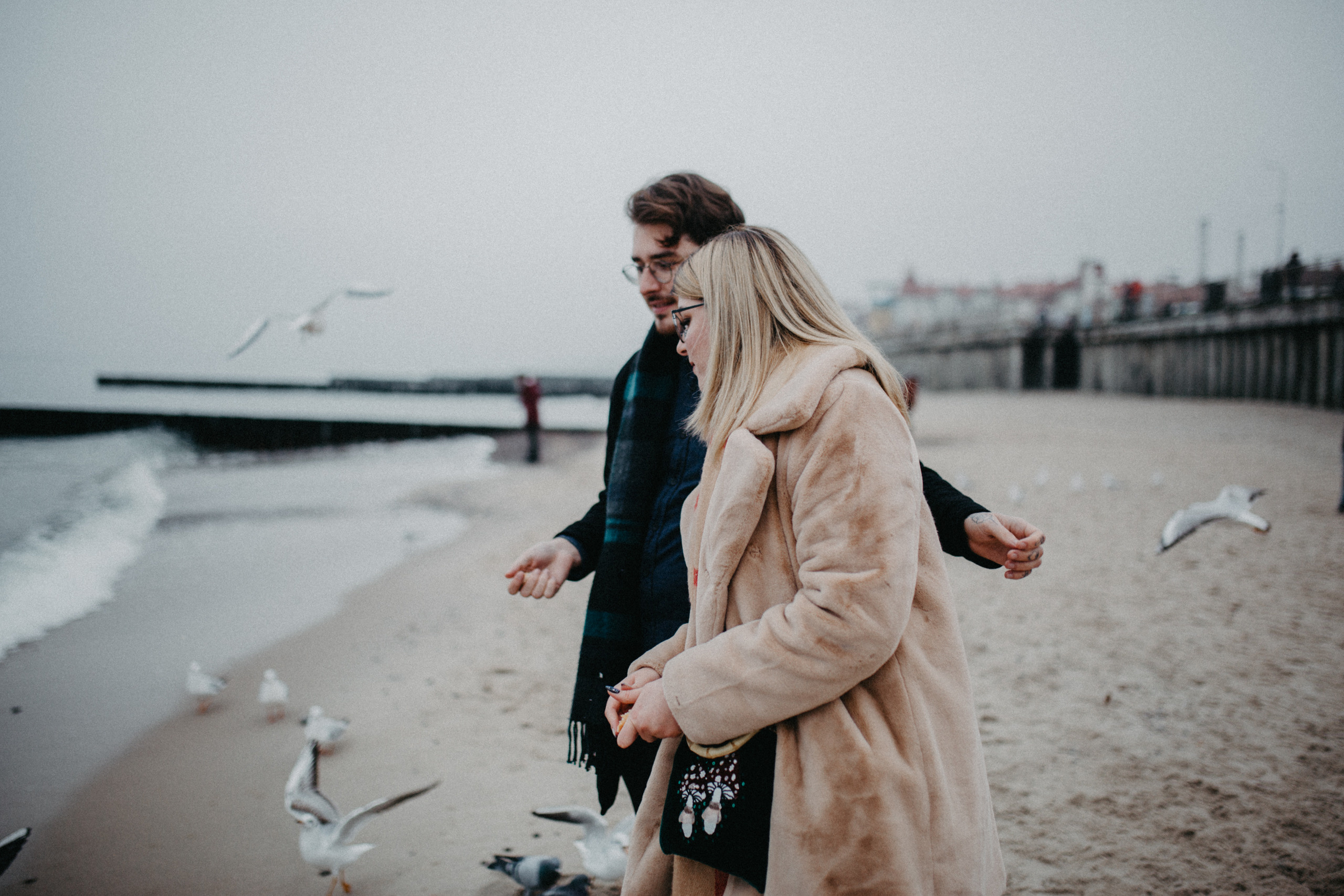 Чайки. Фотограф в Калининграде Дмитрий Мишин