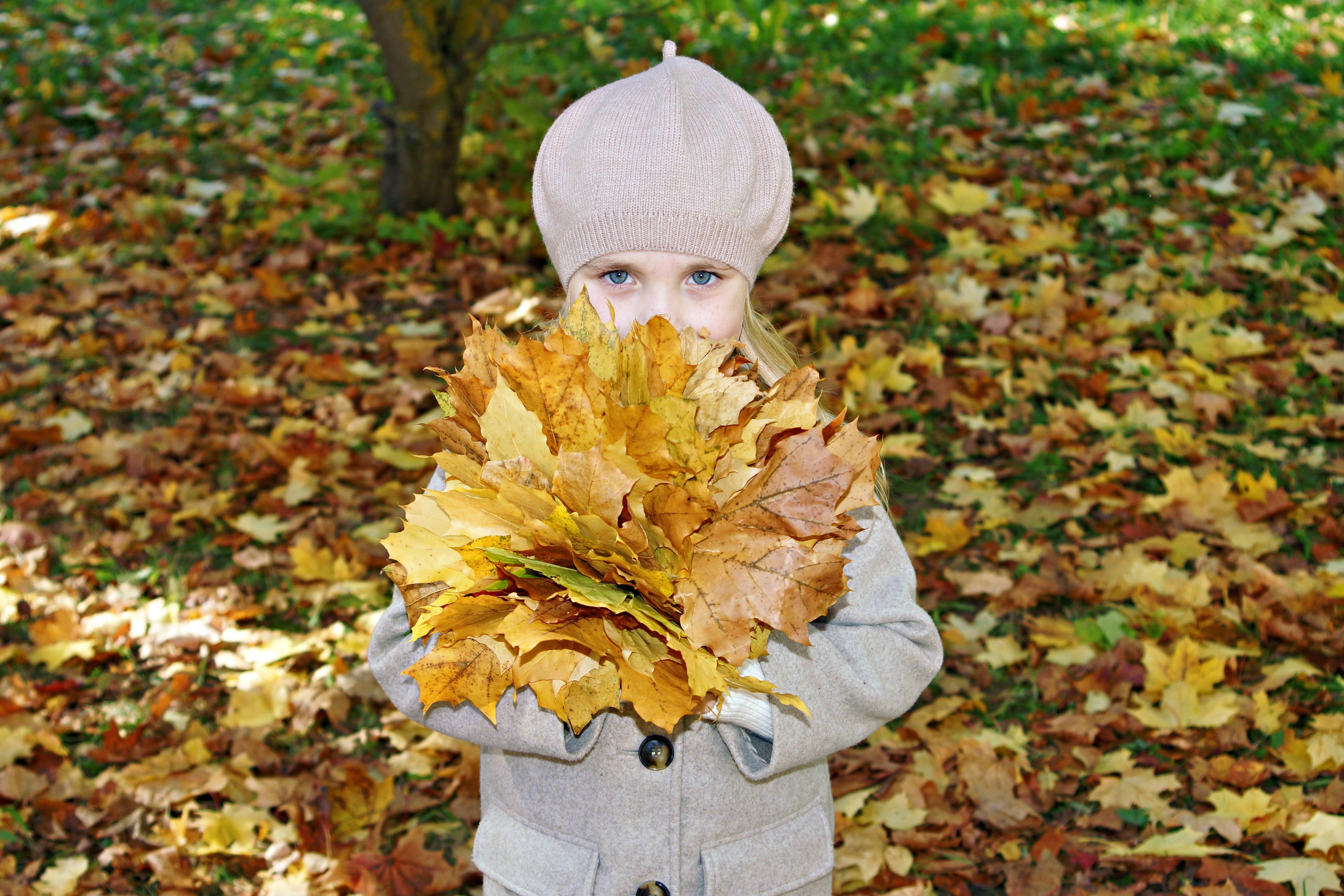 Осенняя фотосессия в детском саду г. Йошкар-Ола