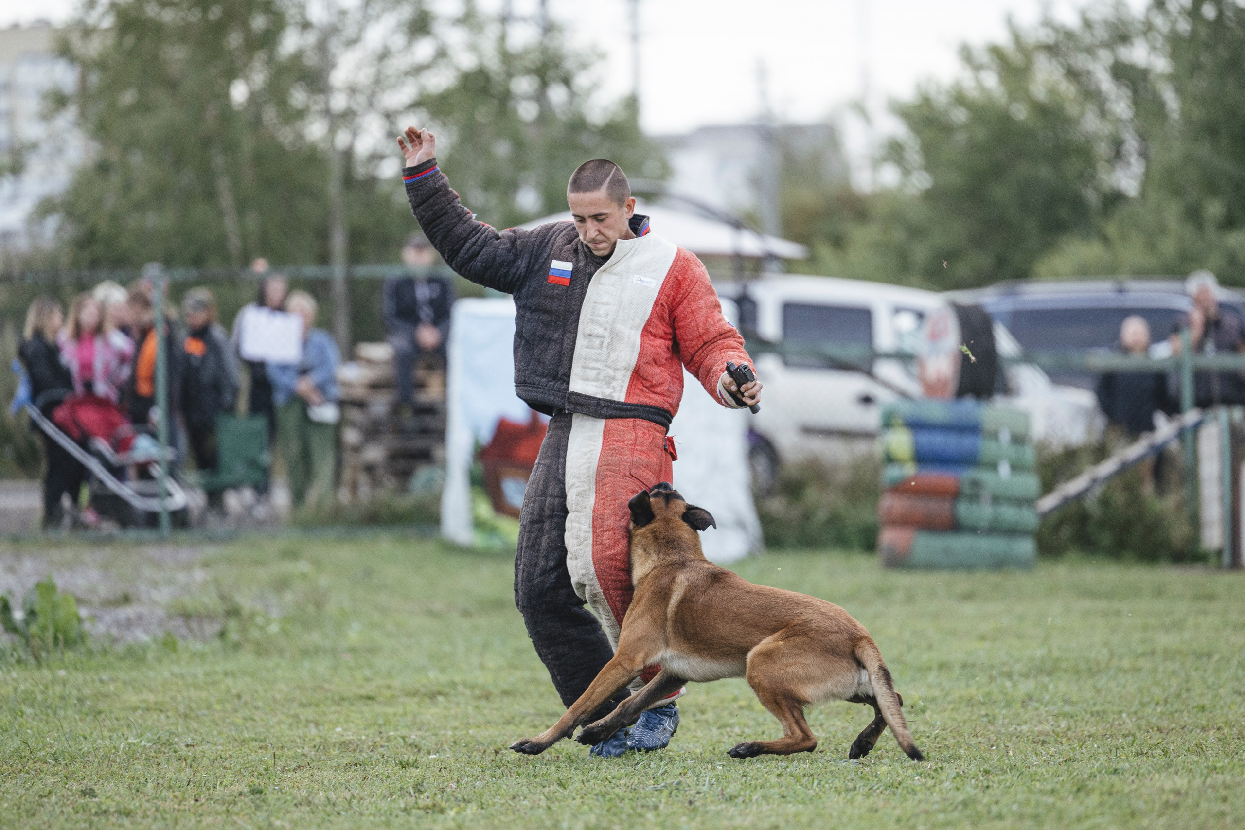 08.08.25-10.08.25 ЧР по мондьорингу г. Вологда. Фотограф-анималист Анна Маринич