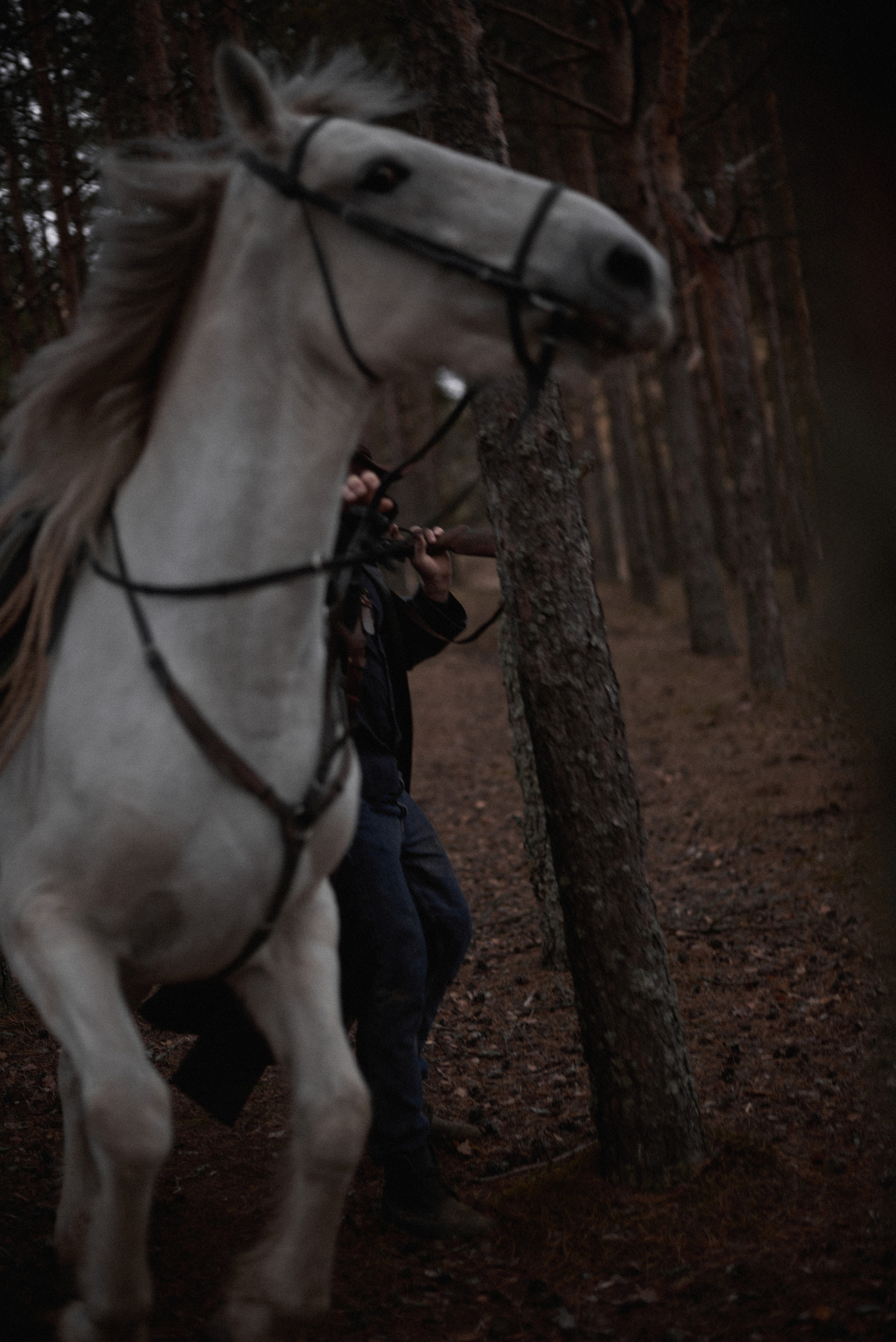 Никита 2. Фотограф в Иваново Кристина Кукина