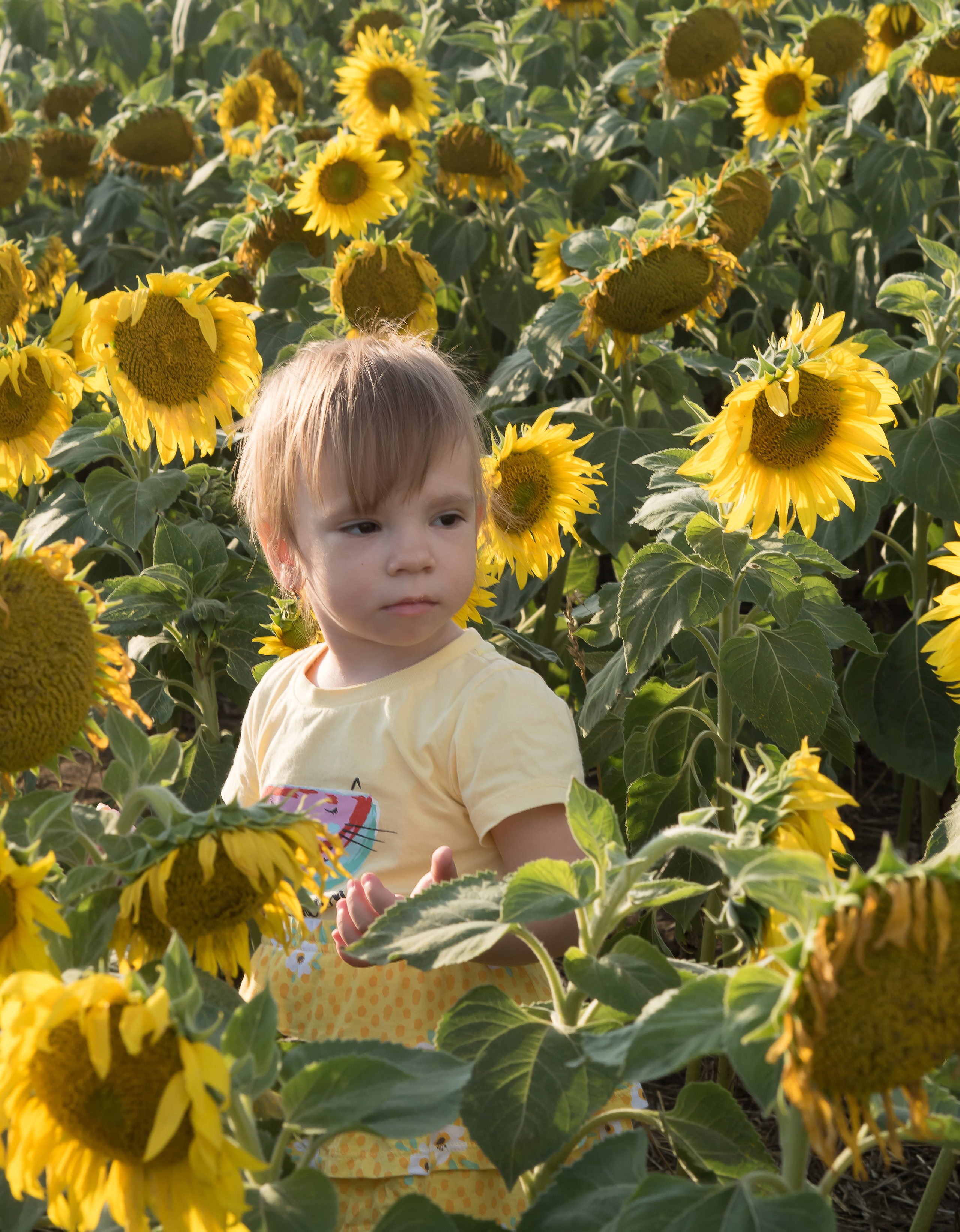 Девчушки в солнечных цветах. Семейный детский фотограф в Красноярске Скачкова Юлия