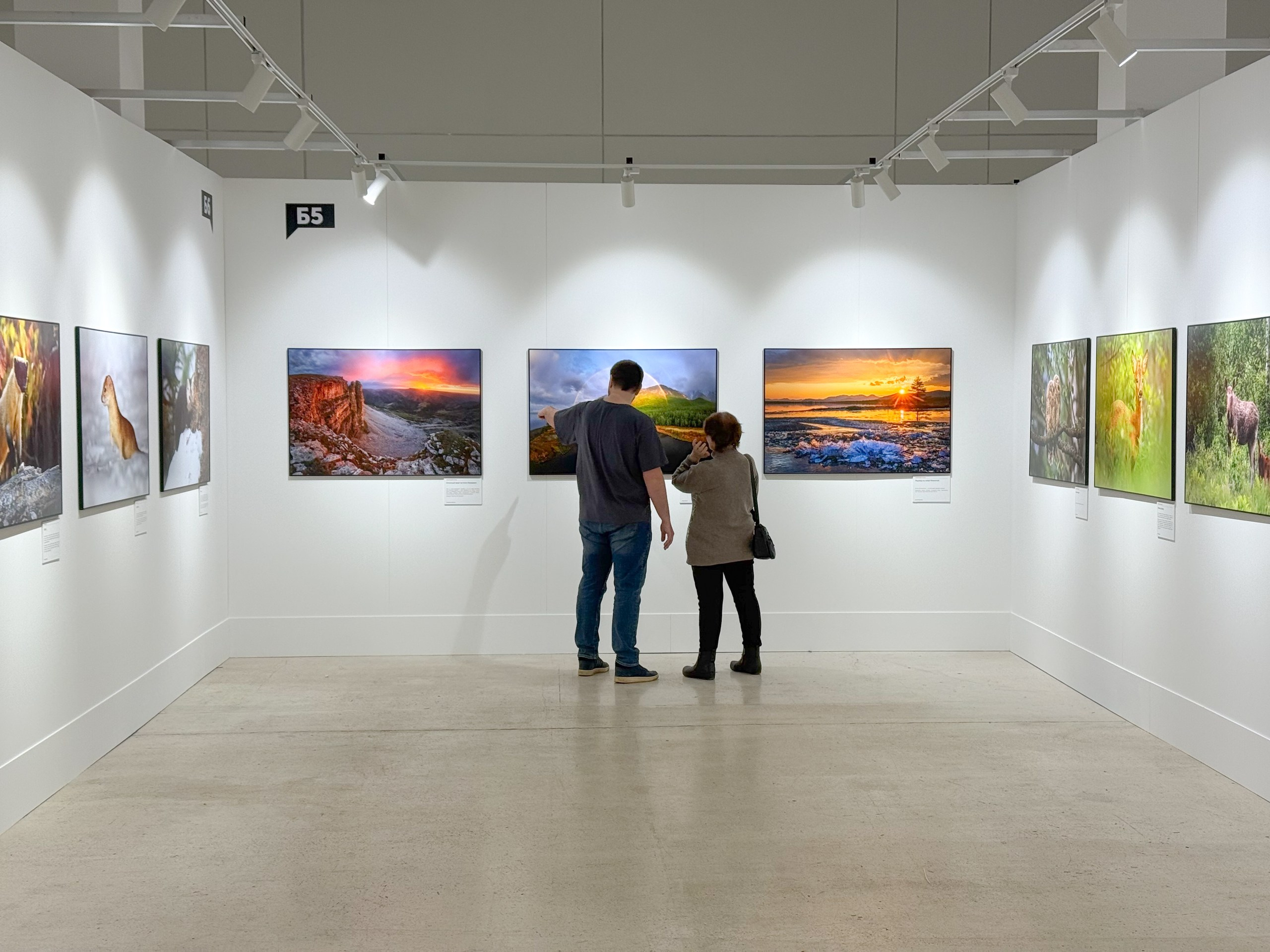 Награды. Andrew Gusarov Nature Photography