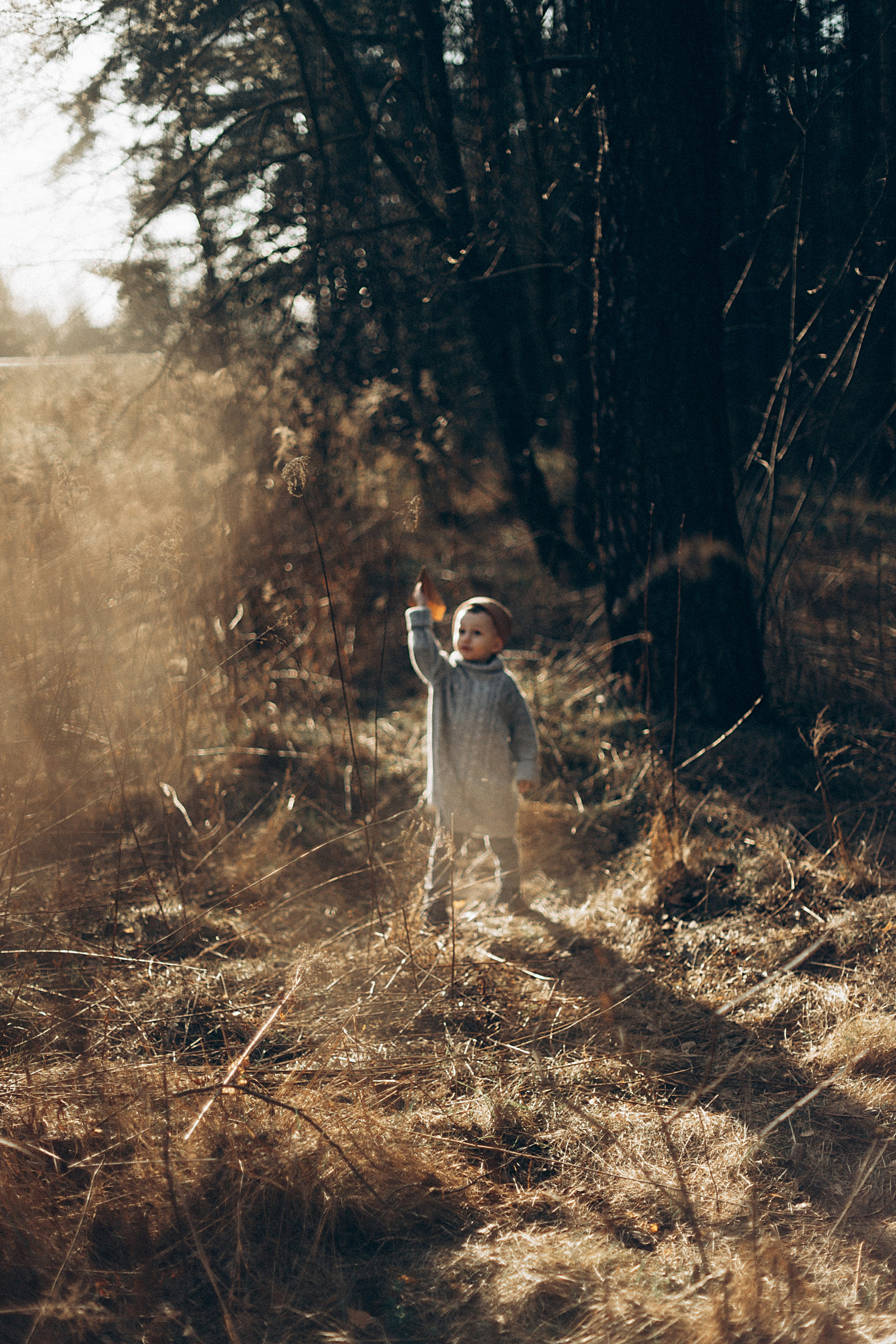 Птицы-самолеты. Репортажный и детский фотограф в Минске