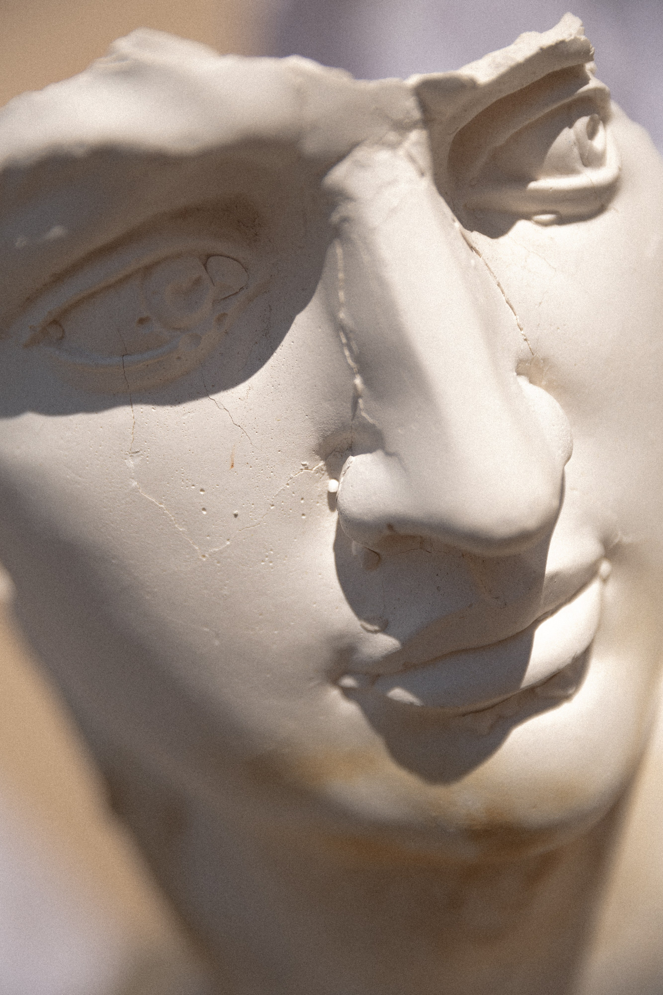 Анонс 04.06.2024 Данил и Алина. Свадебный фотограф Колесников Антон