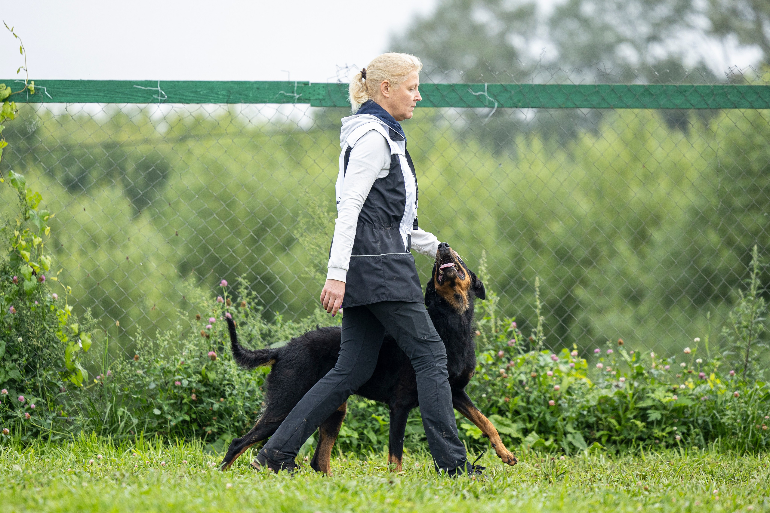 Соревнования по Мондьорингу г. Вологда 10-11.08.2024. Фотограф-анималист Анна Маринич