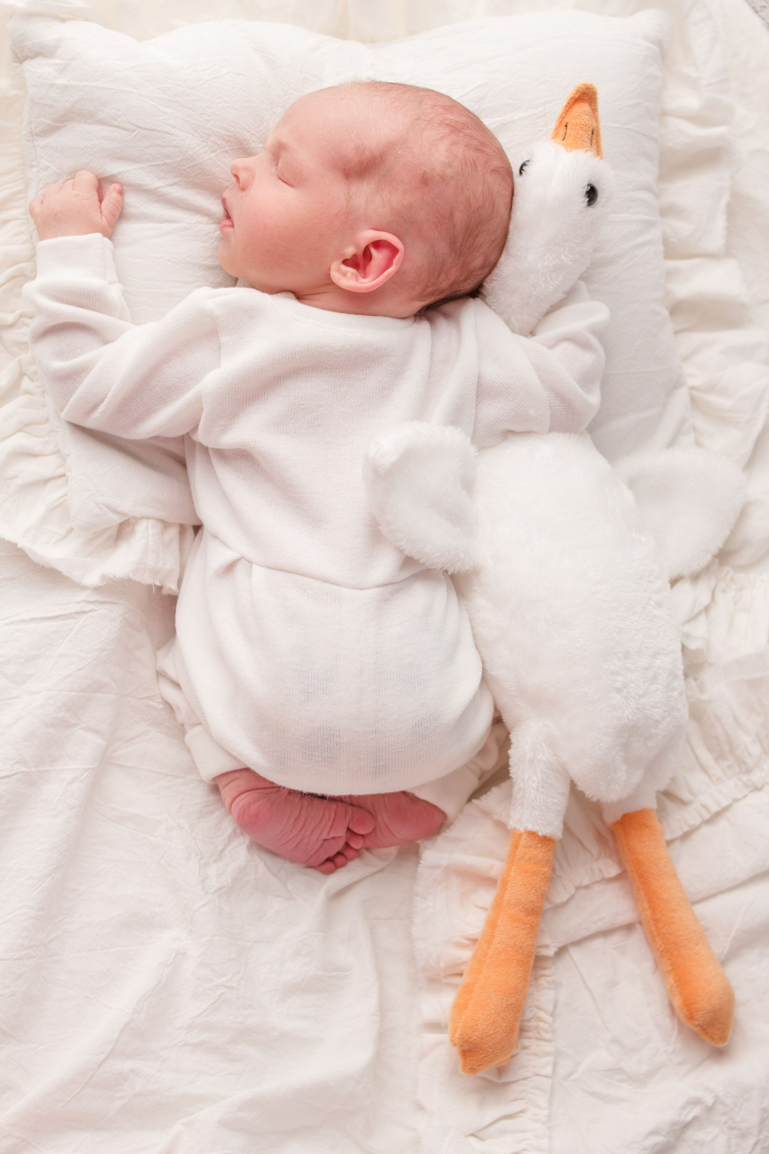 Егор. Первый кадр | newborn фотограф | Всеволожск
