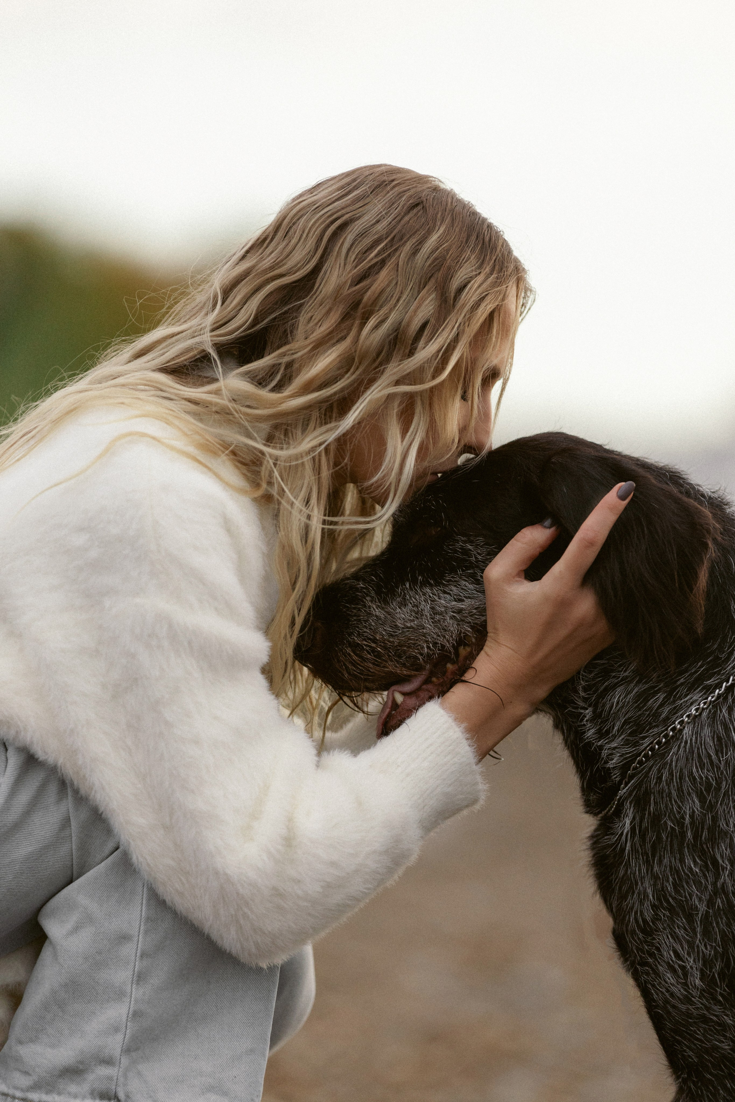 Фотосессии с собаками (для владельцев). Конный фотограф Валынкина Лера