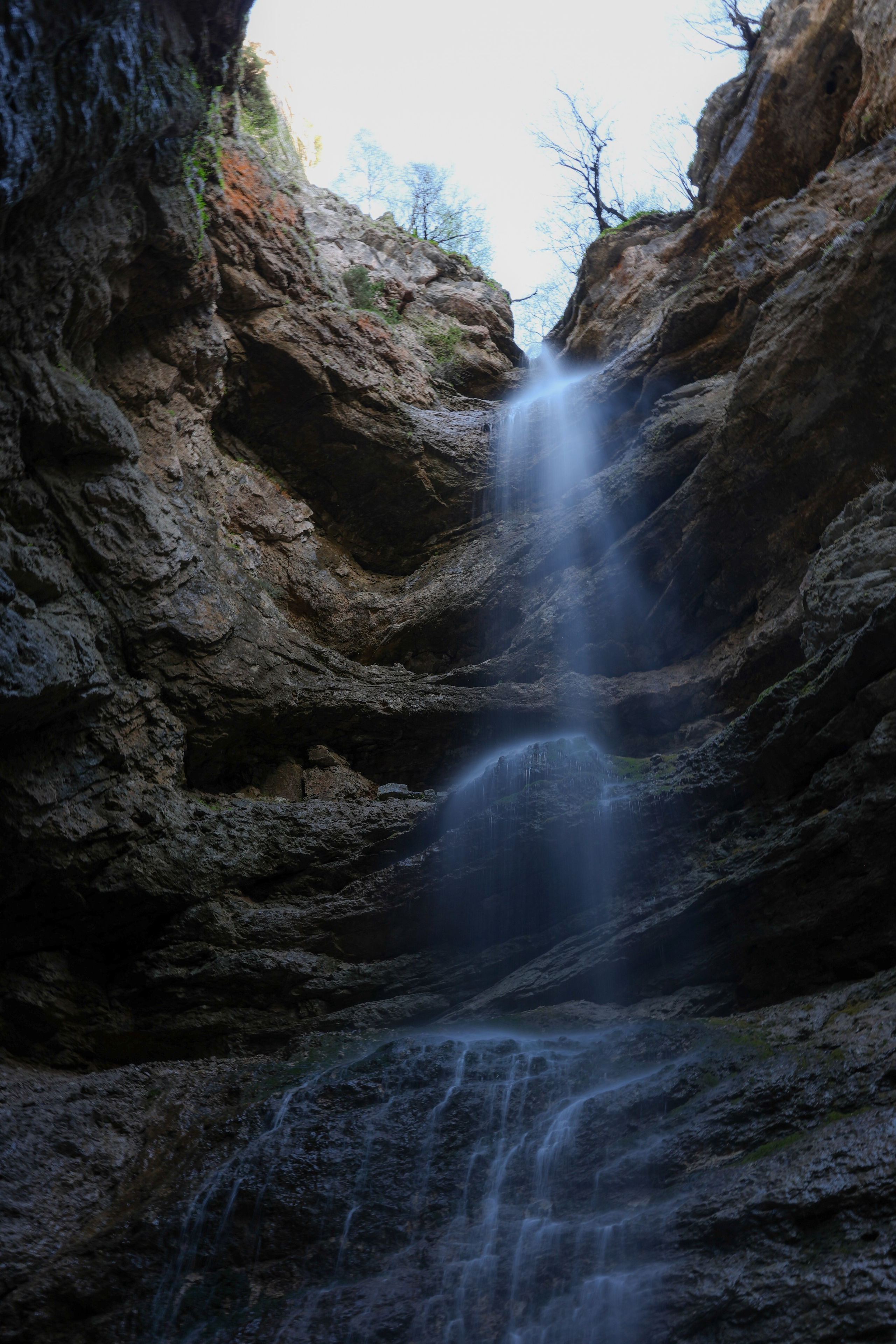 Фотограф Мария Алексеева. Мария Алексеева. Фотограф в Москве