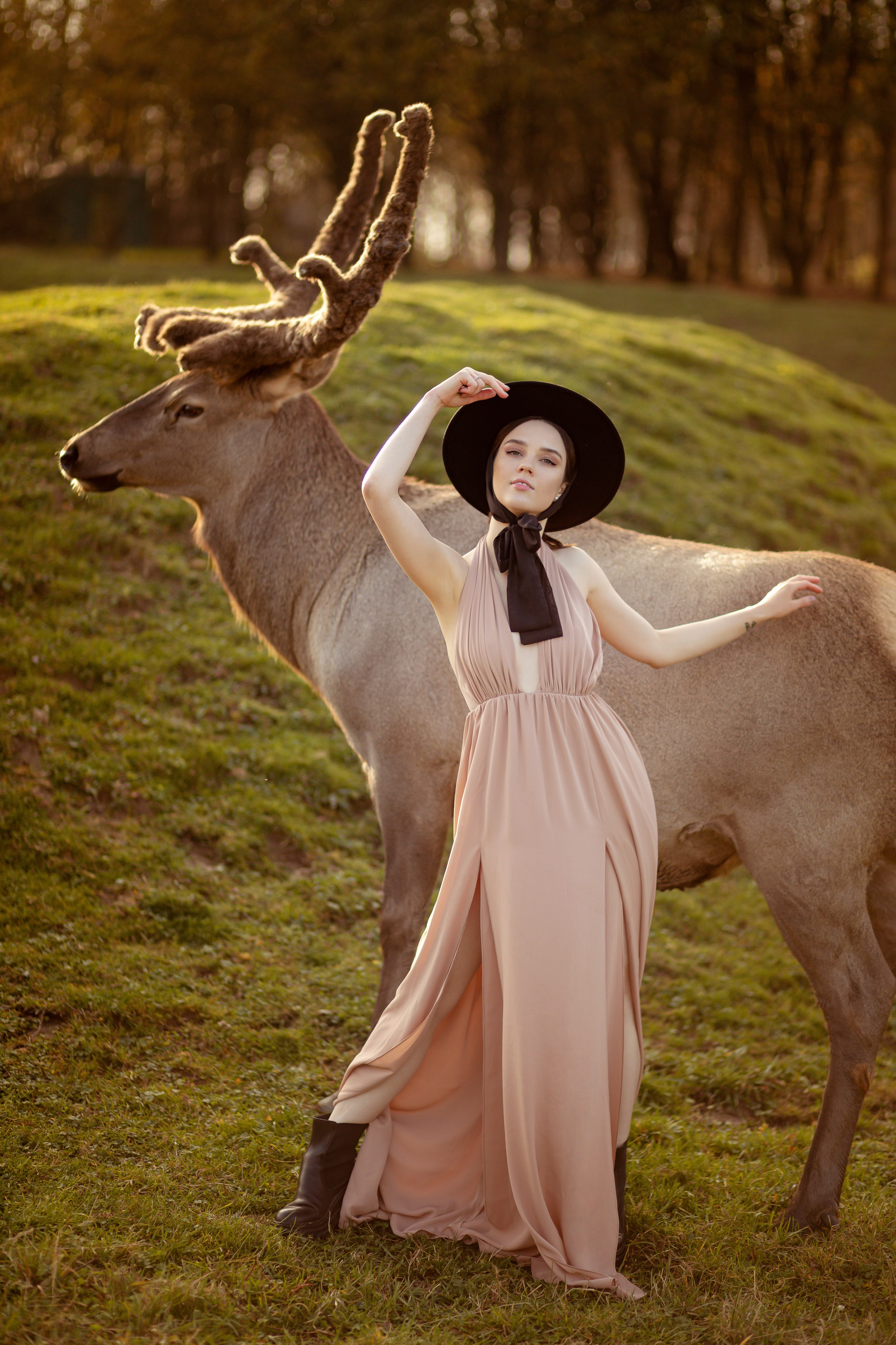 Девушка во весь рост на фоне зеленого луга и оленя.