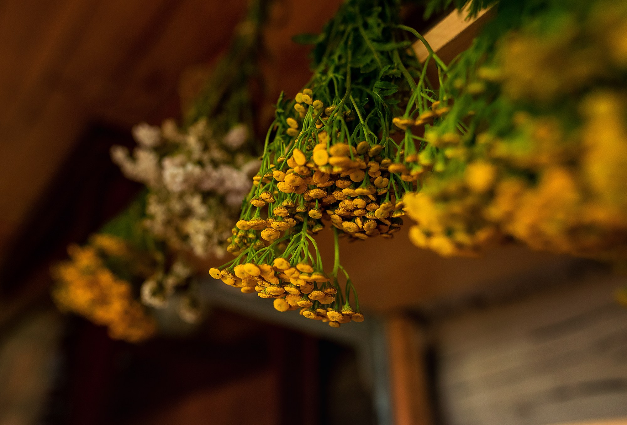 В гостях у матушки Анны. Женский фотограф Крещение Венчание Москва Брянск