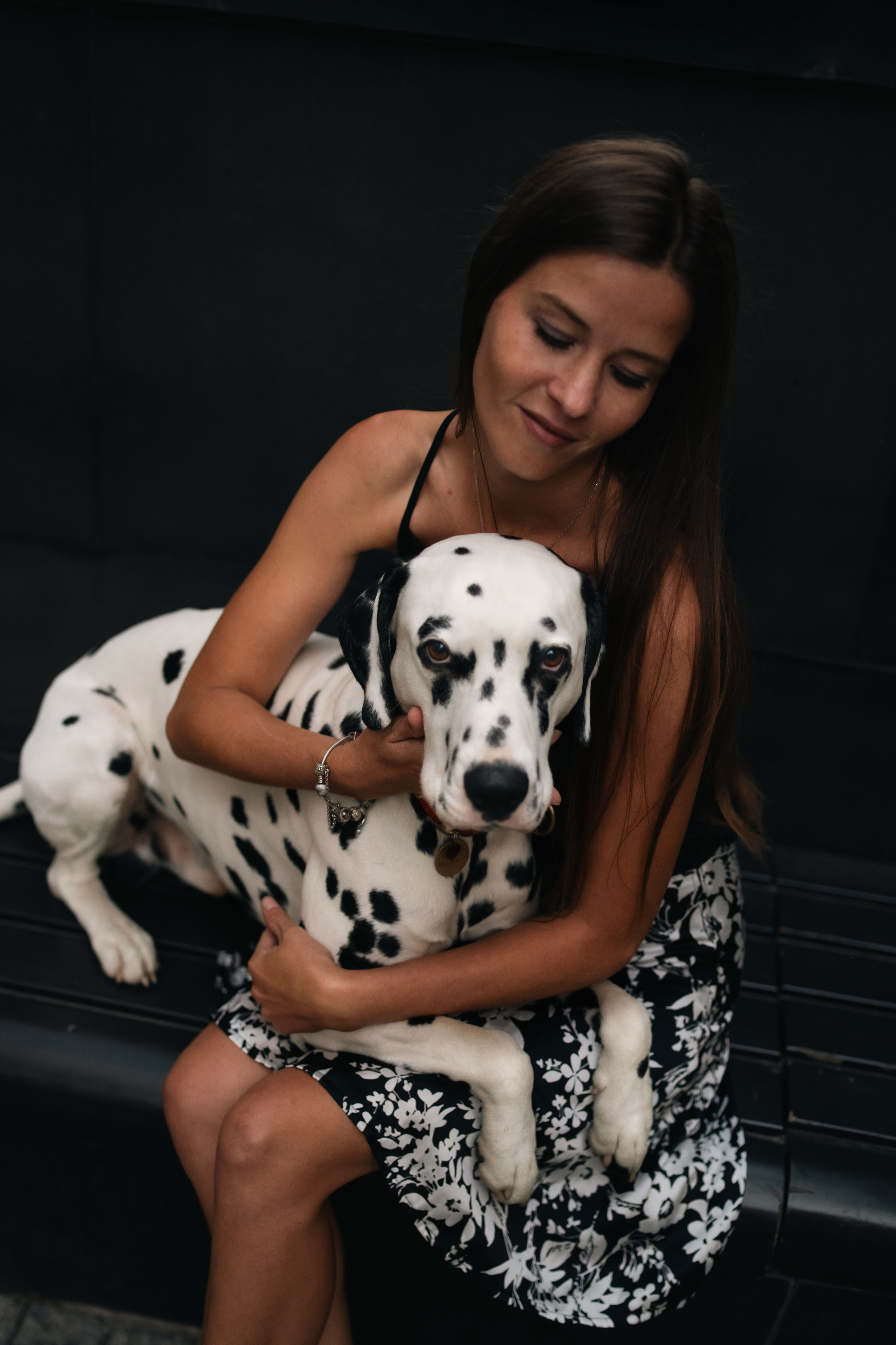 1 Далматин. Фотограф анималист