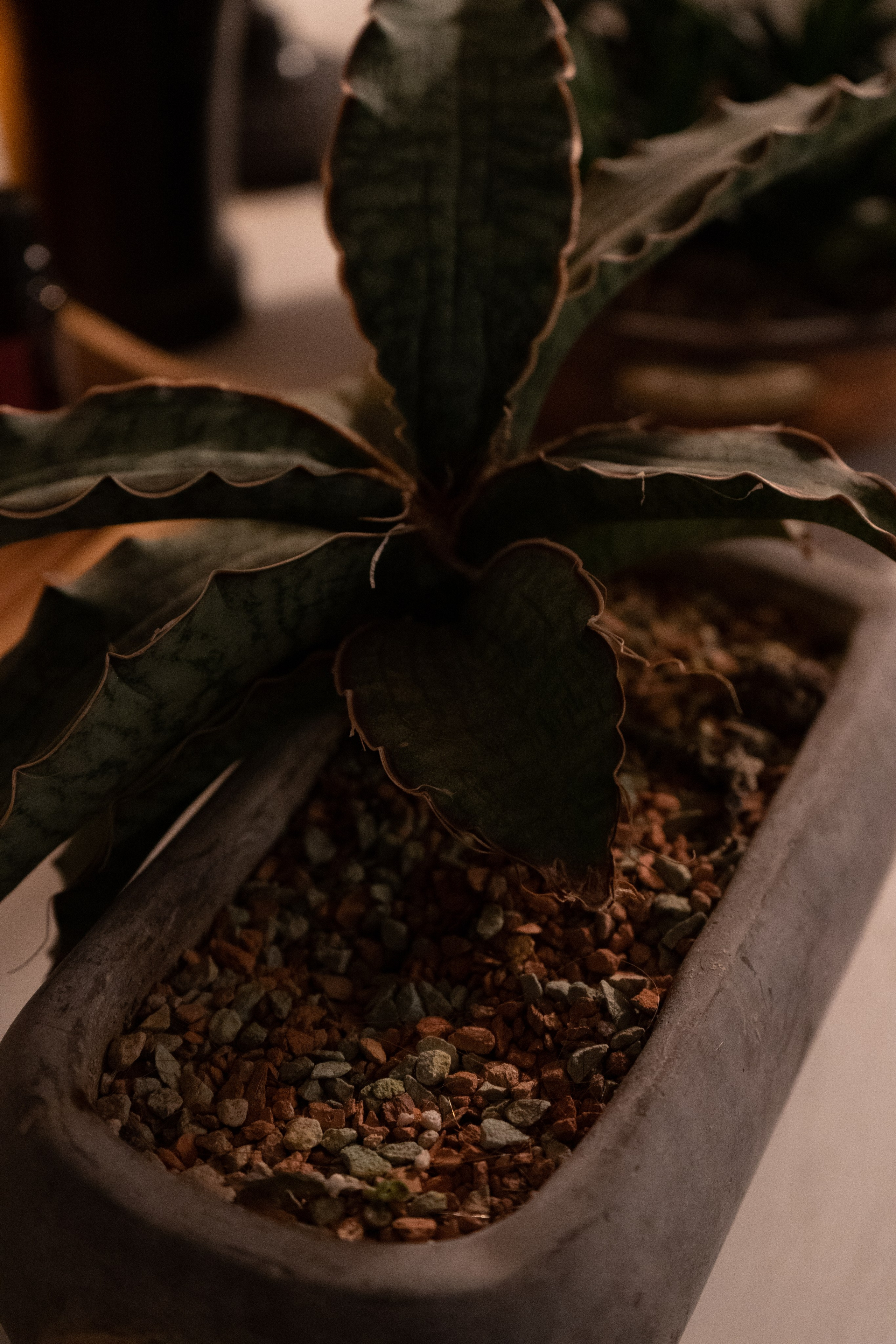 МАСТЕРСКАЯ ТЕЛА. БАМ БУК Мастерская тела