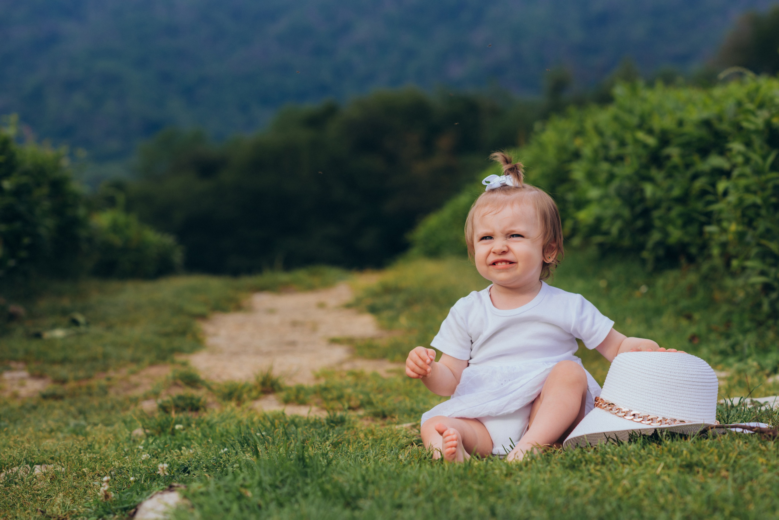 Чайные плантации. Фотограф Диана Вальтер