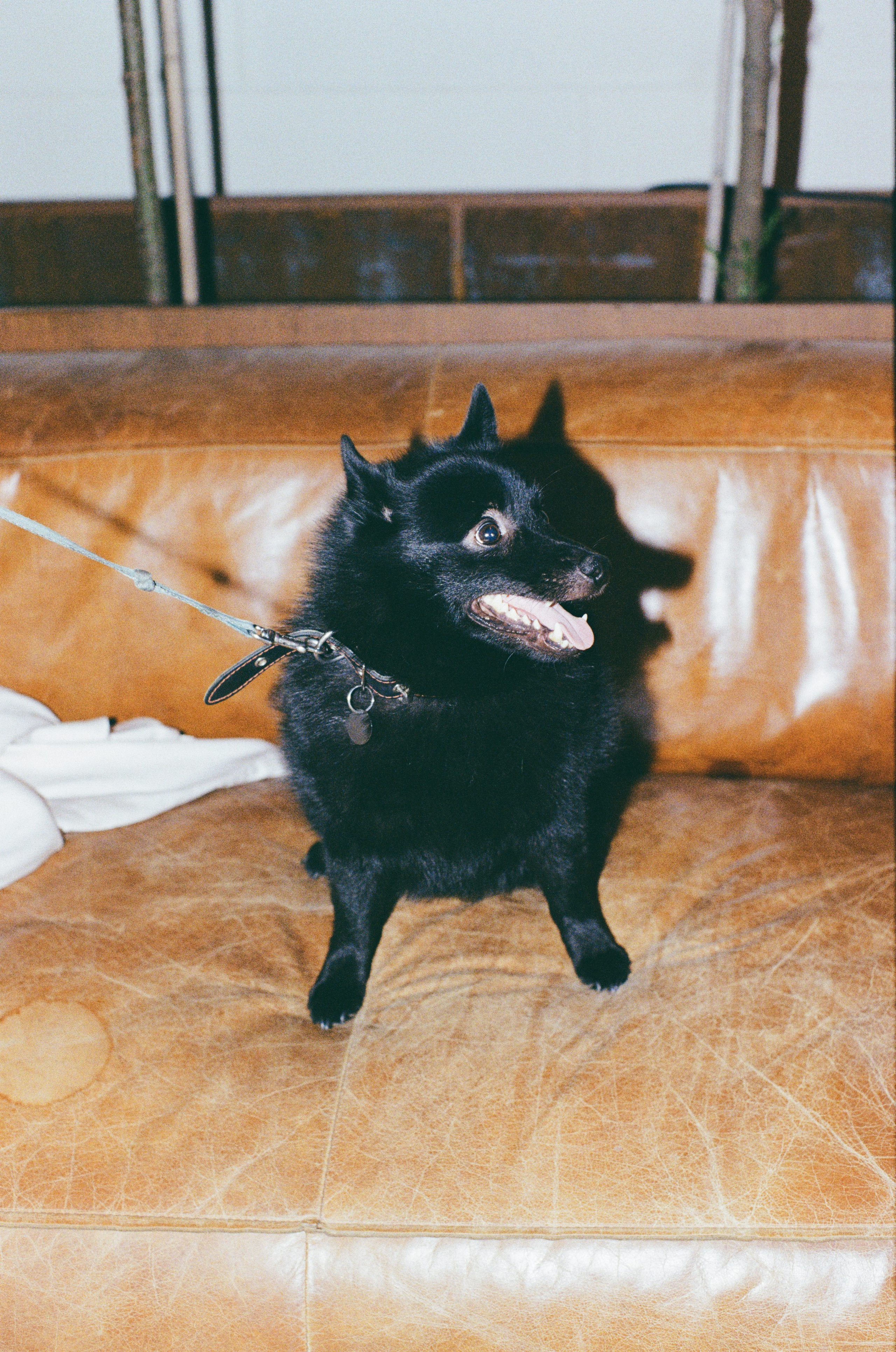 Party like a Moscow. Портретный и ивент-фотограф в Москве