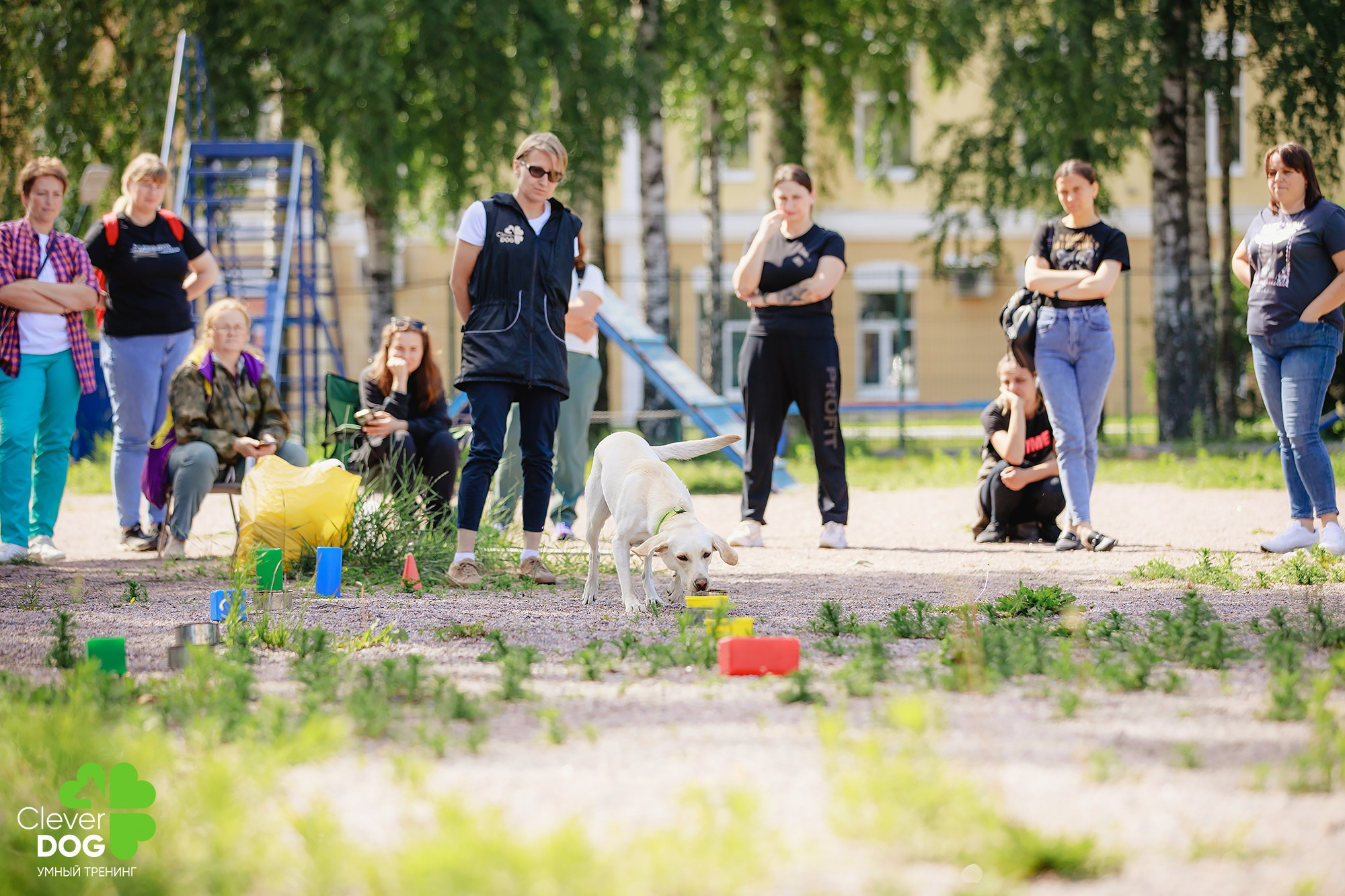 Семинар по поиску запаха с Иваном Ломовым, организатор CleverDog, СПб. Фотограф-анималист Mary Mart — Москва, Питер