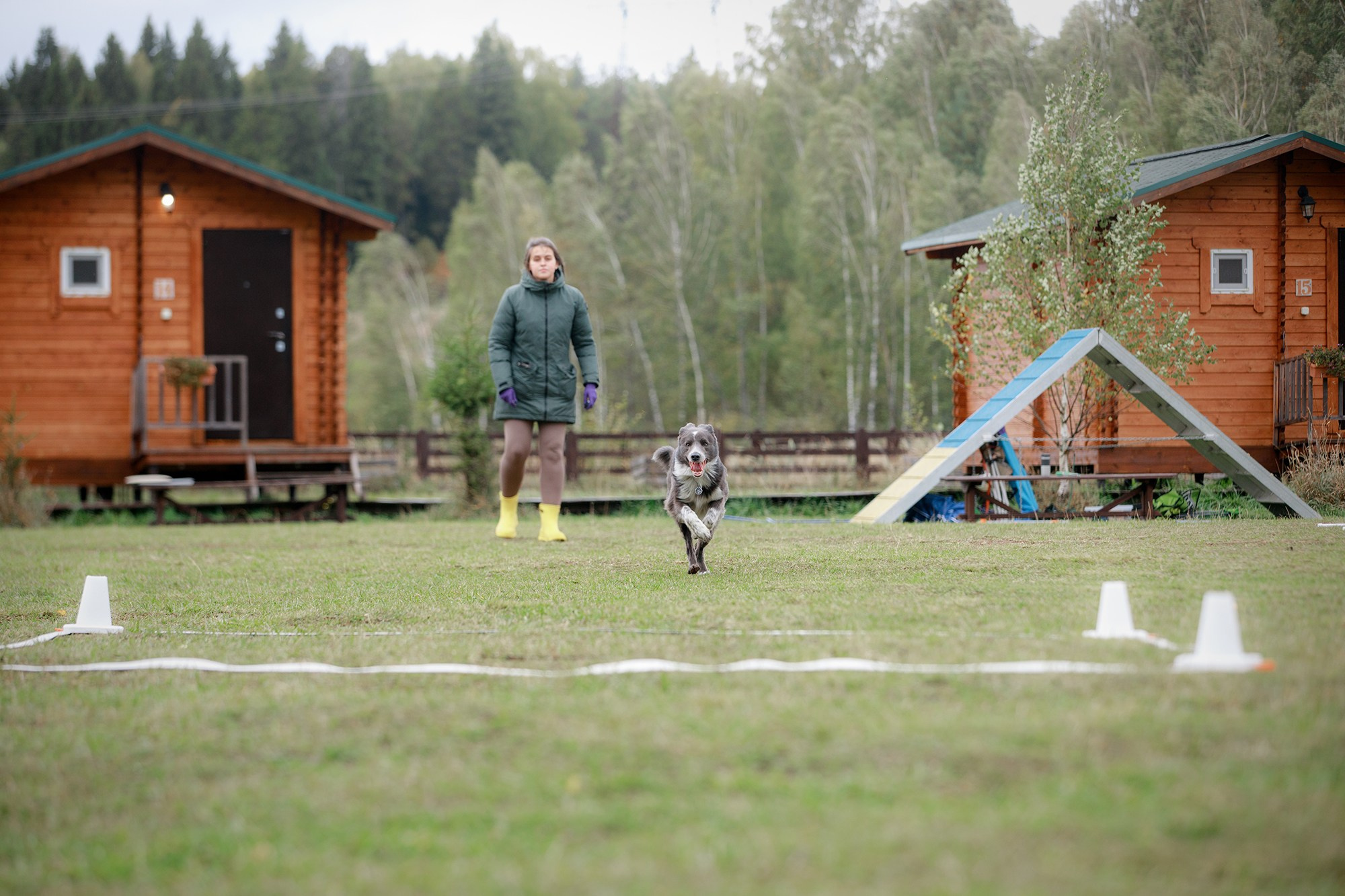 Лагерь по ОБД с Инной Баженовой. Фотограф-анималист Mary Mart — Москва, Питер