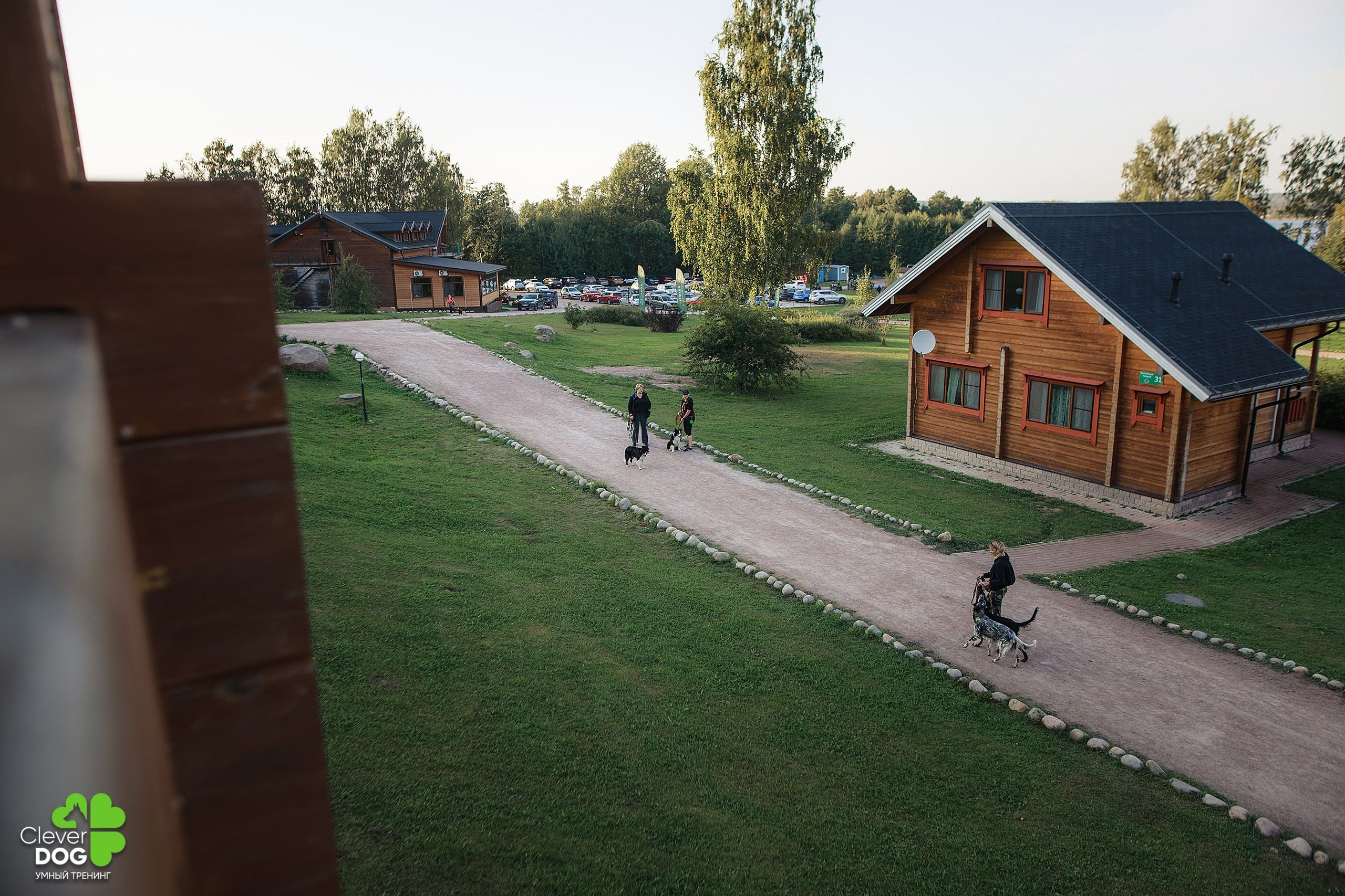 Кинологический лагерь CleverDog, 2024. Фотограф-анималист Mary Mart — Москва, Питер
