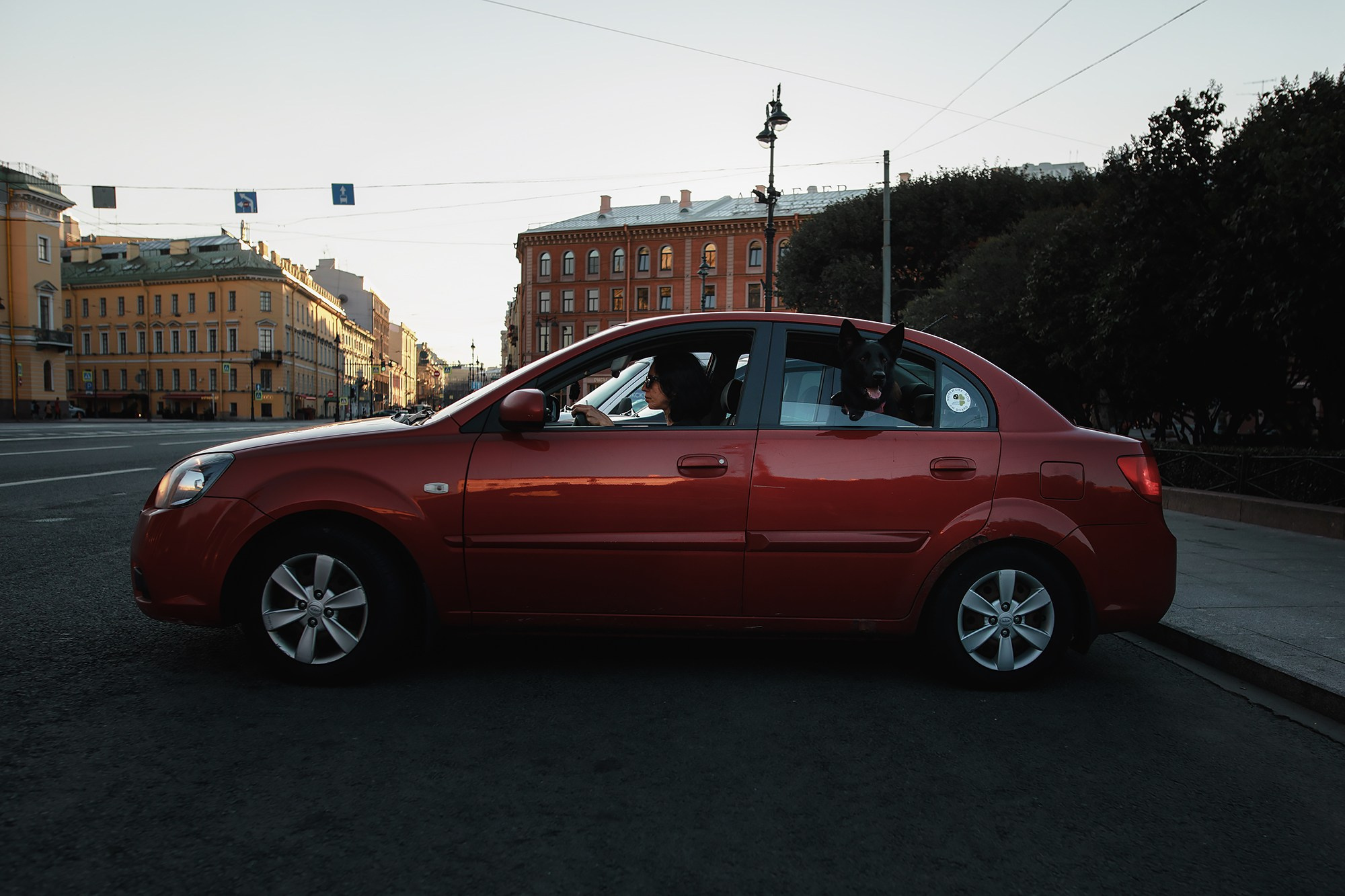 Алена, Кай и Мара. Фотограф-анималист Mary Mart — Москва, Питер