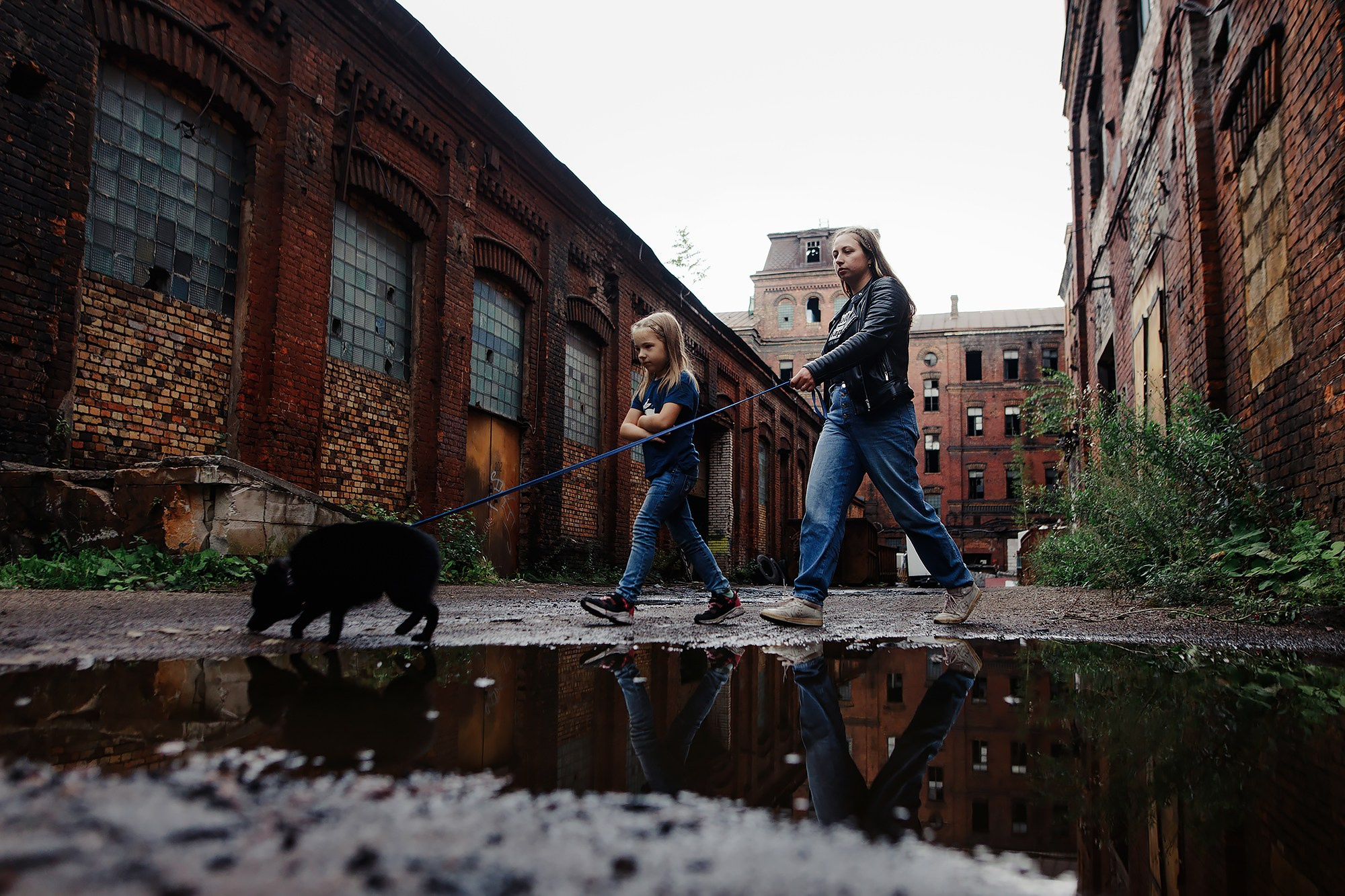 Саша, Маша и шипперке Йети. Фотограф-анималист Mary Mart — Москва, Питер