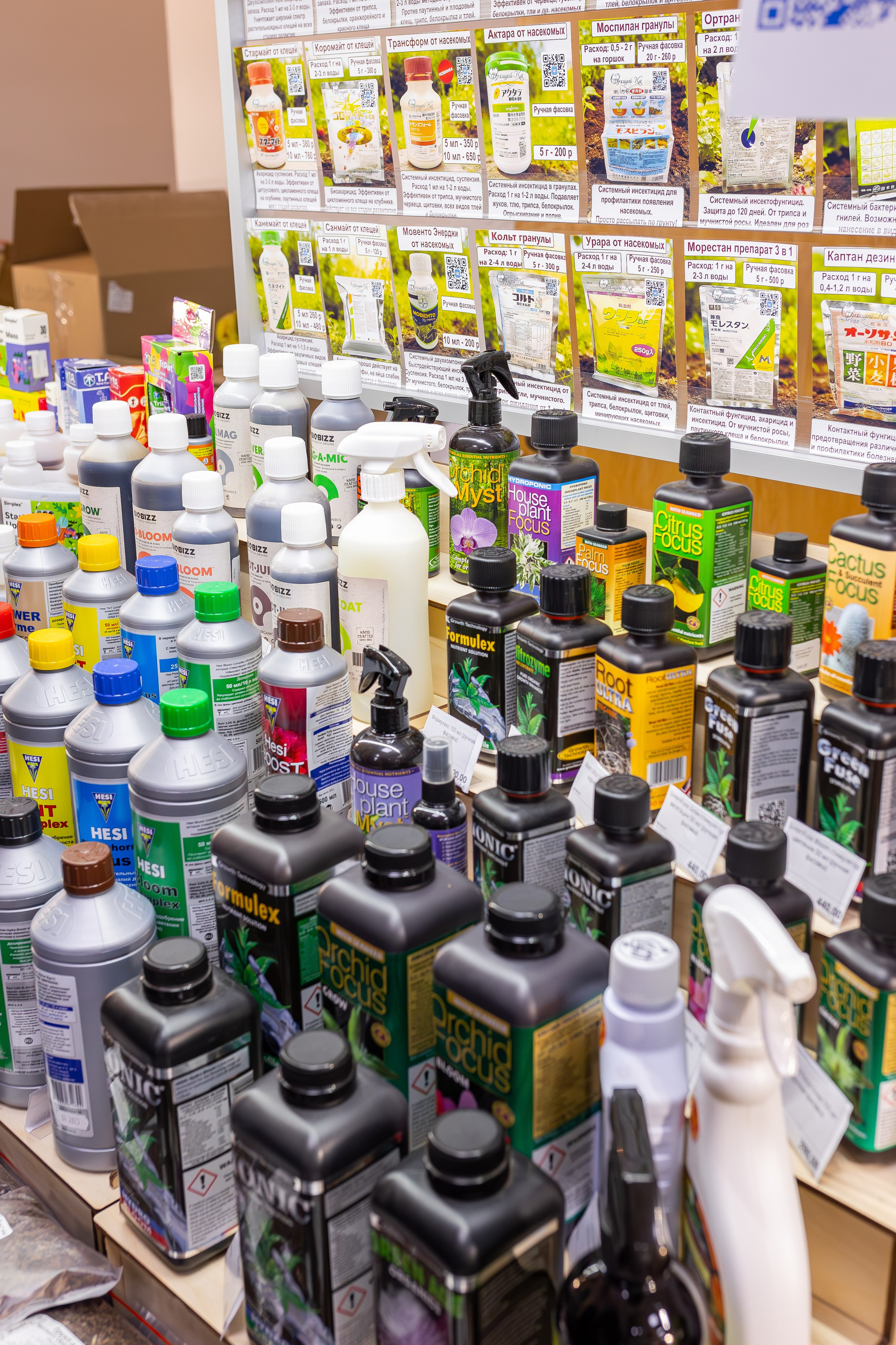 Монстериум апрель 2026. Александра Куликова фотограф, Москва