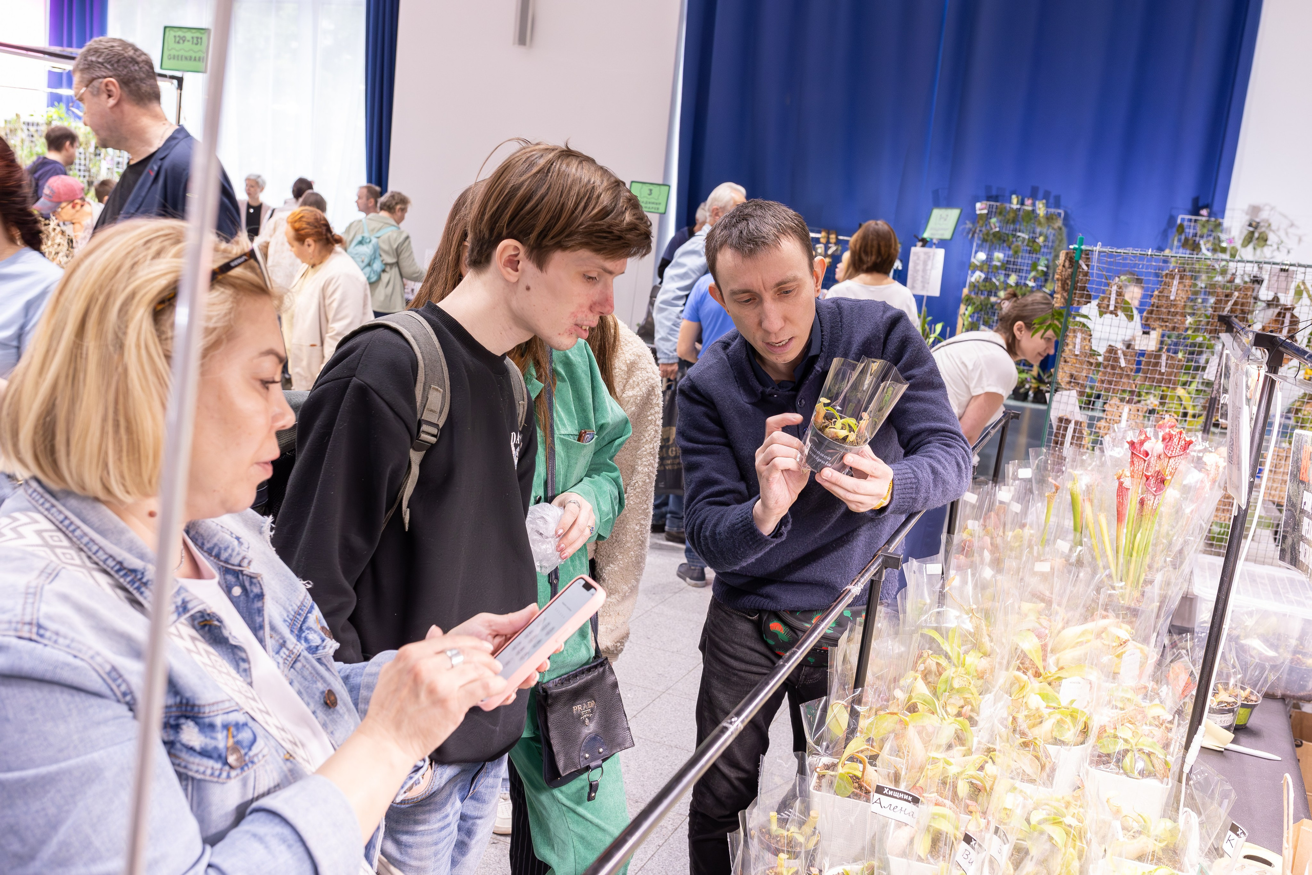 Орхидиум май 2025. Александра Куликова фотограф, Москва