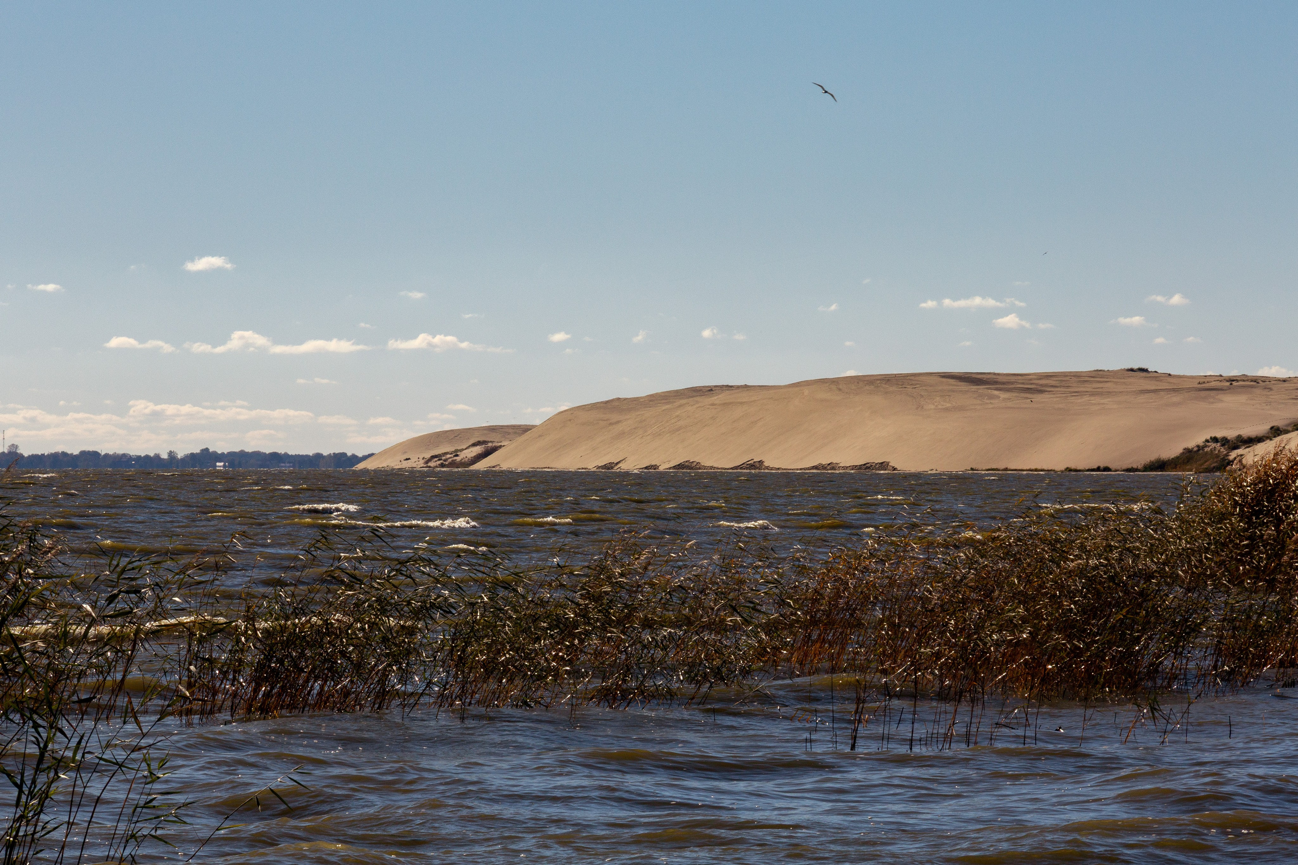 Ню фотограф в Калининграде — Raphael Murmann