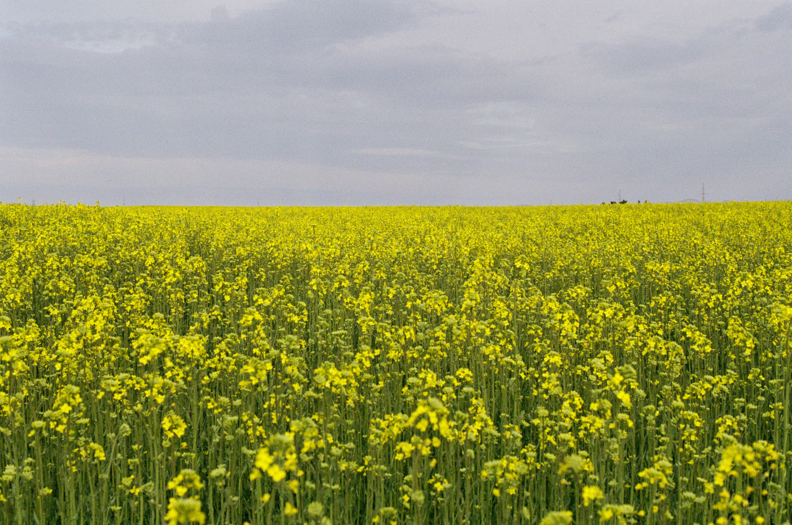 Some kind of madness // ukraine, crimea IV. EVER EXPOSED