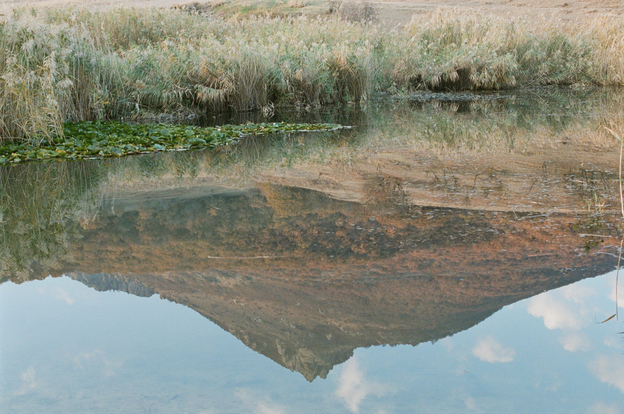 Wherever you will go // ukraine, crimea III. EVER EXPOSED