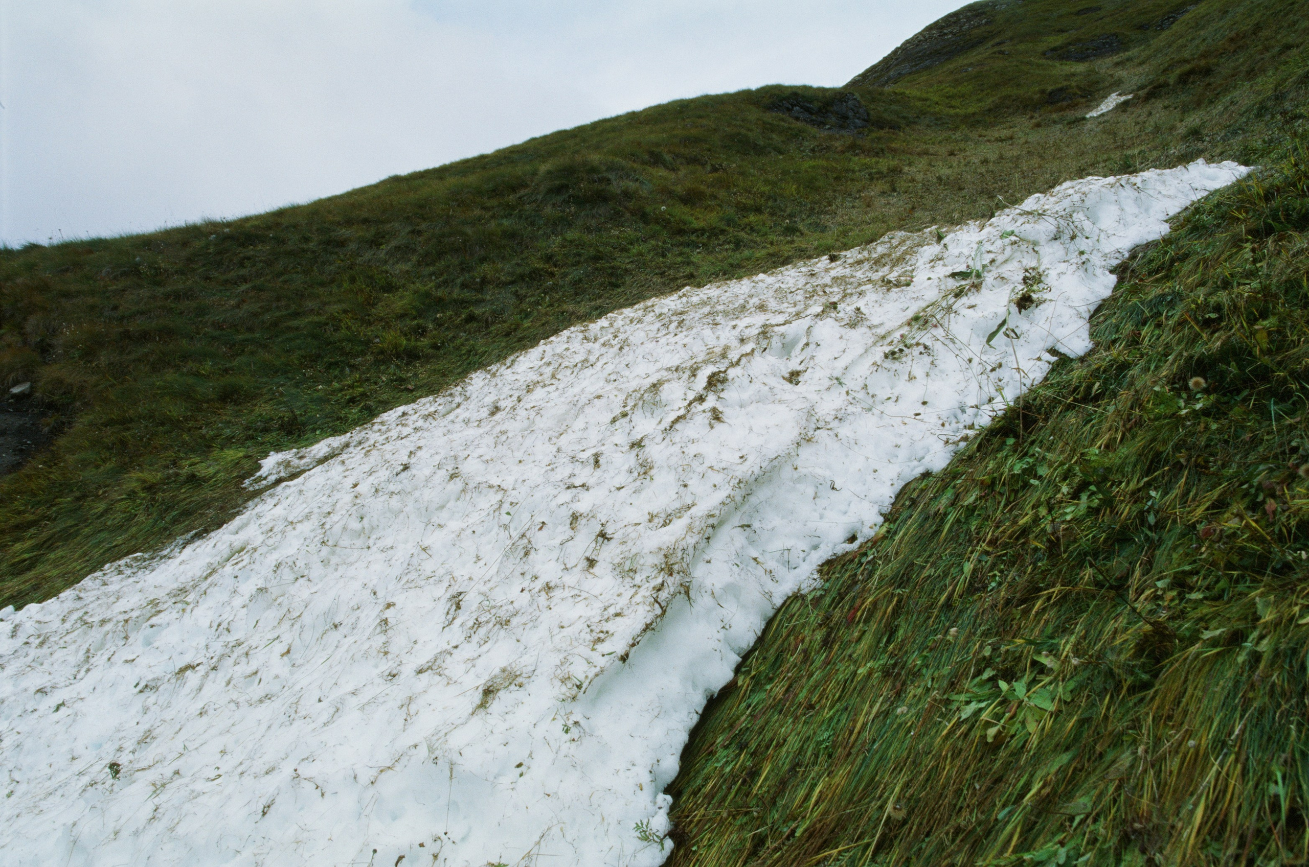 Wasted // italy, dolomites V. EVER EXPOSED