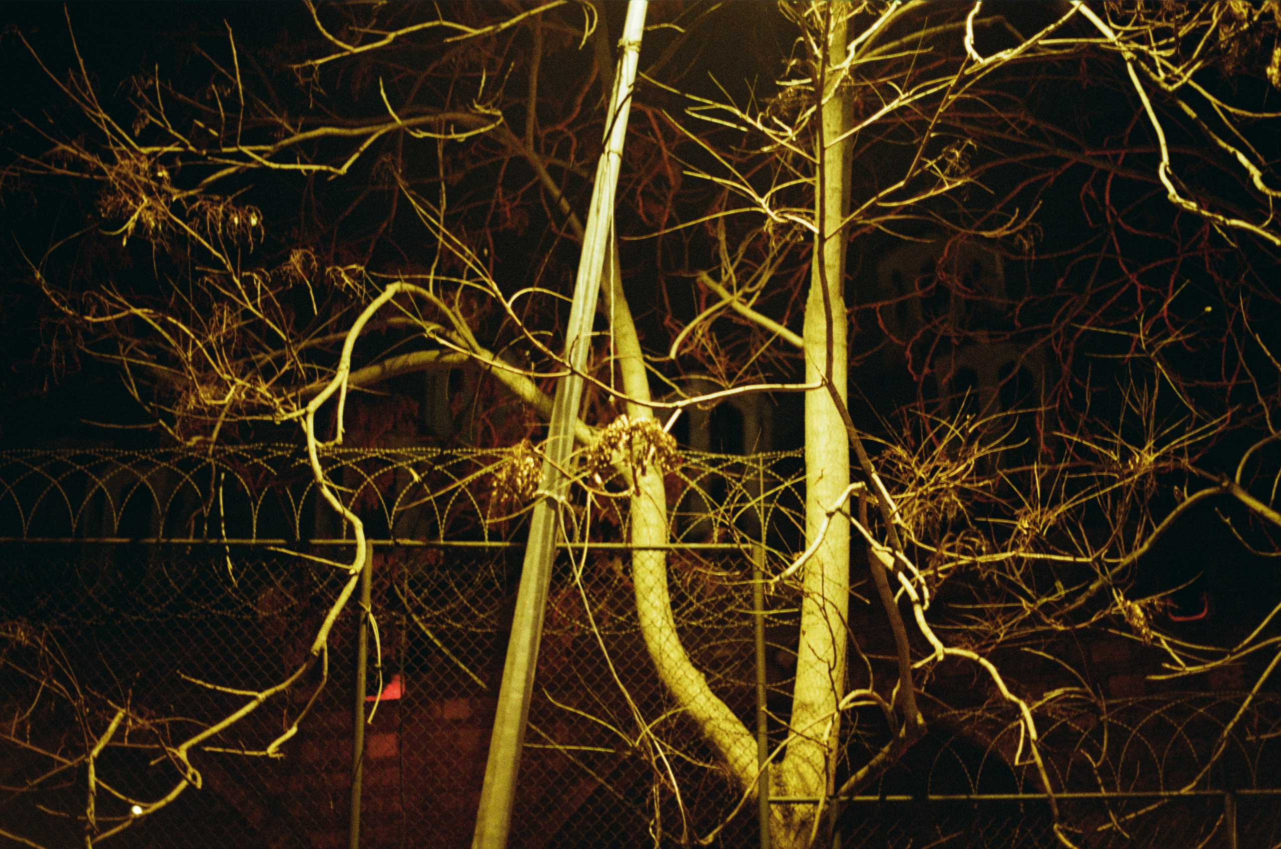 Complicated // turkey, istanbul III. EVER EXPOSED