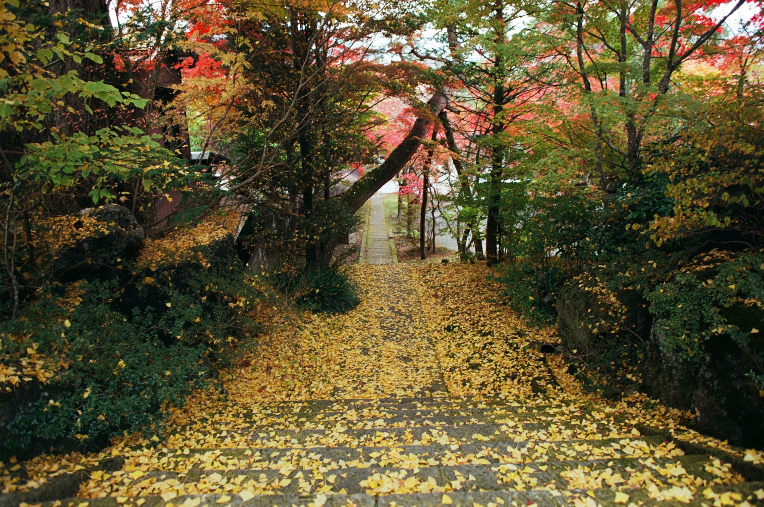 Out of noise // japan, takayama IV. EVER EXPOSED